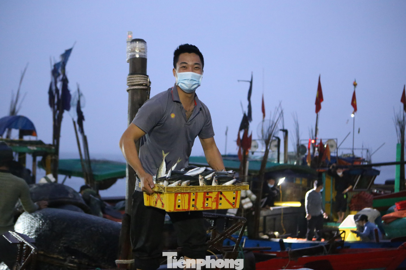 Như tàu của ngư dân Sơn (trú Cẩm Nhượng) cập cảng vào ngày 19/2 thu về 3 tạ mực, 50kg cá thu, 80kg cá trầy, cá đốm…. Số hải sản đánh bắt được có giá trị lên đến hàng chục triệu đồng