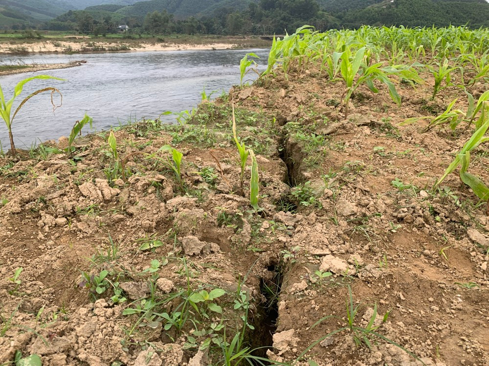 Khu Bãi Bè có diện tích hơn 25ha, là nơi sản xuất của 120 hộ dân trong thôn. Hiện nay nhiều ha diện tích đất sản xuất của người dân đã bị sông "nuốt chửng".