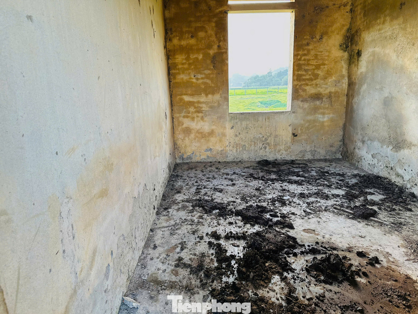 Xung quanh khuôn viên trạm, cỏ dại mọc um tùm, nước ứ đọng, phân gia súc vương vãi khắp nơi, bốc mùi hôi thối, gây ảnh hưởng cảnh quan và ô nhiễm môi trường.