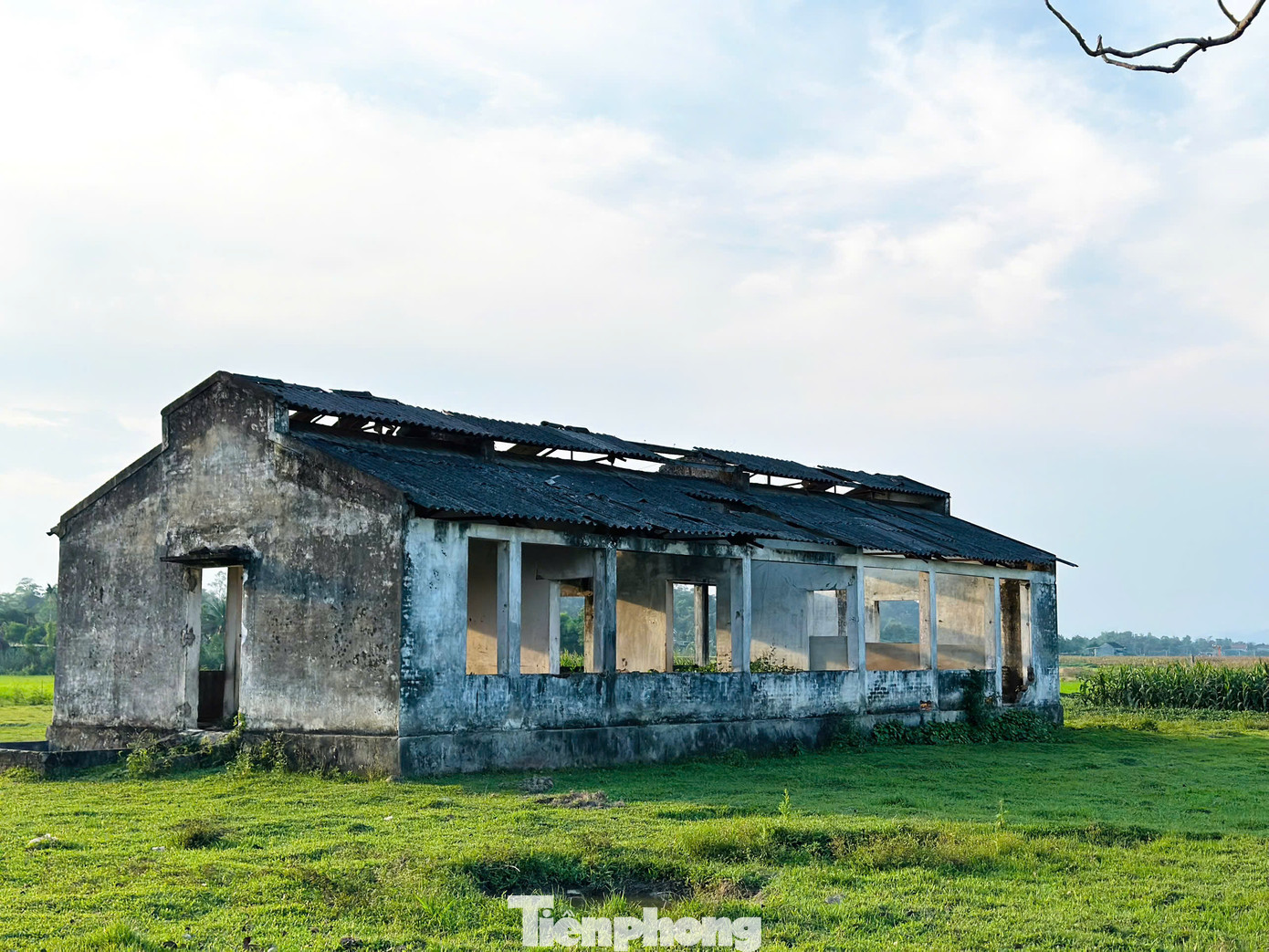 Tại trạm giống có hai toà nhà làm việc. Xung quanh các hệ thống cổng sắt, tường rào và các hạng mục bên trong trạm giống đã hư hỏng, đứt gãy.