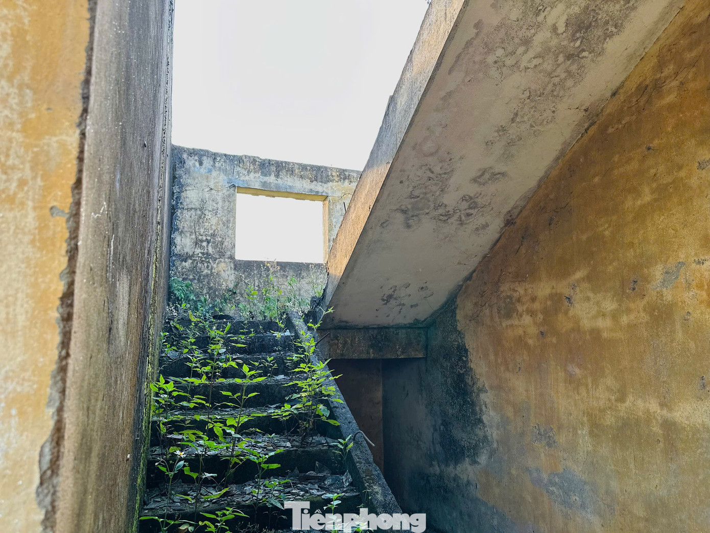 Lãnh đạo UBND xã Châu Bình, cho biết, dự án trạm truyền giống chăn nuôi được xây dựng tại địa phương, nhưng do cơ quan chức năng của huyện và tỉnh quản lý. Theo lãnh đạo xã, dự án được xây dựng trên diện tích 1ha, mục tiêu phát triển nguồn heo giống để cung cấp cho thị trường trong và ngoài địa bàn huyện Hương Sơn. Từ năm 2014, dự án dừng hoạt động do kém hiệu quả, bỏ hoang đến nay đã hơn 10 năm. Địa phương cũng đã có đề xuất để có phương án tránh để lãng phí quỹ đất.