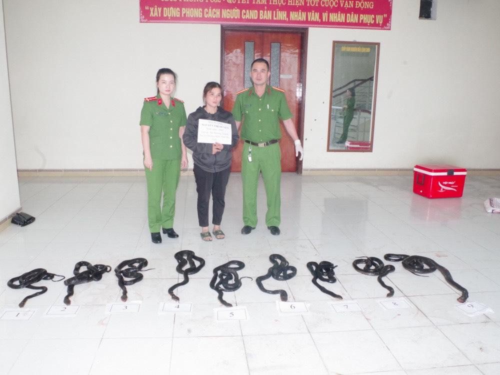 Nguyễn Thị Huyền cùng 9 cá thể rắn hổ mang chúa.