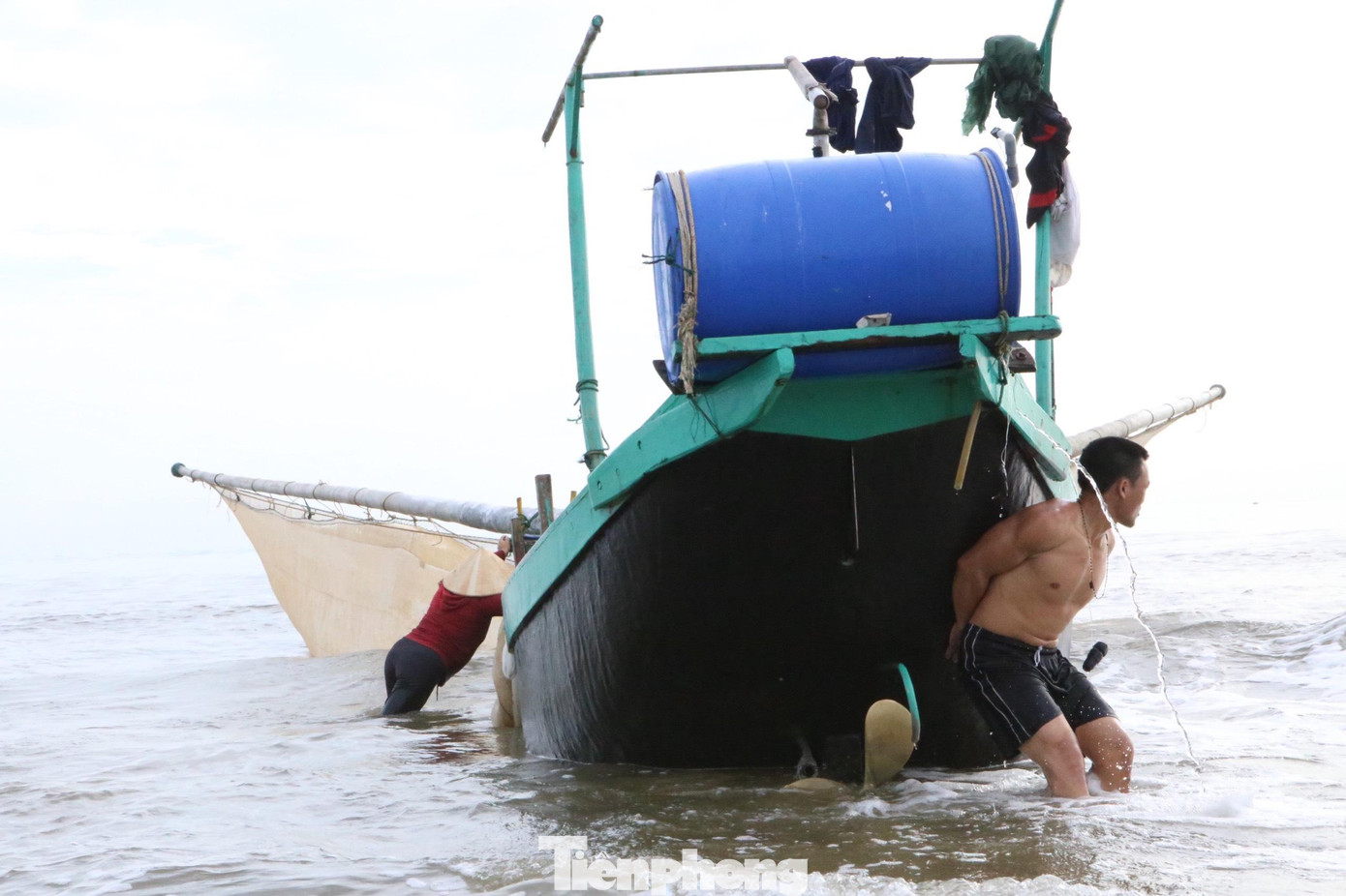 Cá mờm phơi khô cũng được bán với giá rất cao từ 250-300 nghìn đồng/kg. Mỗi ngày ngư dân có thể kiếm tiền triệu.
