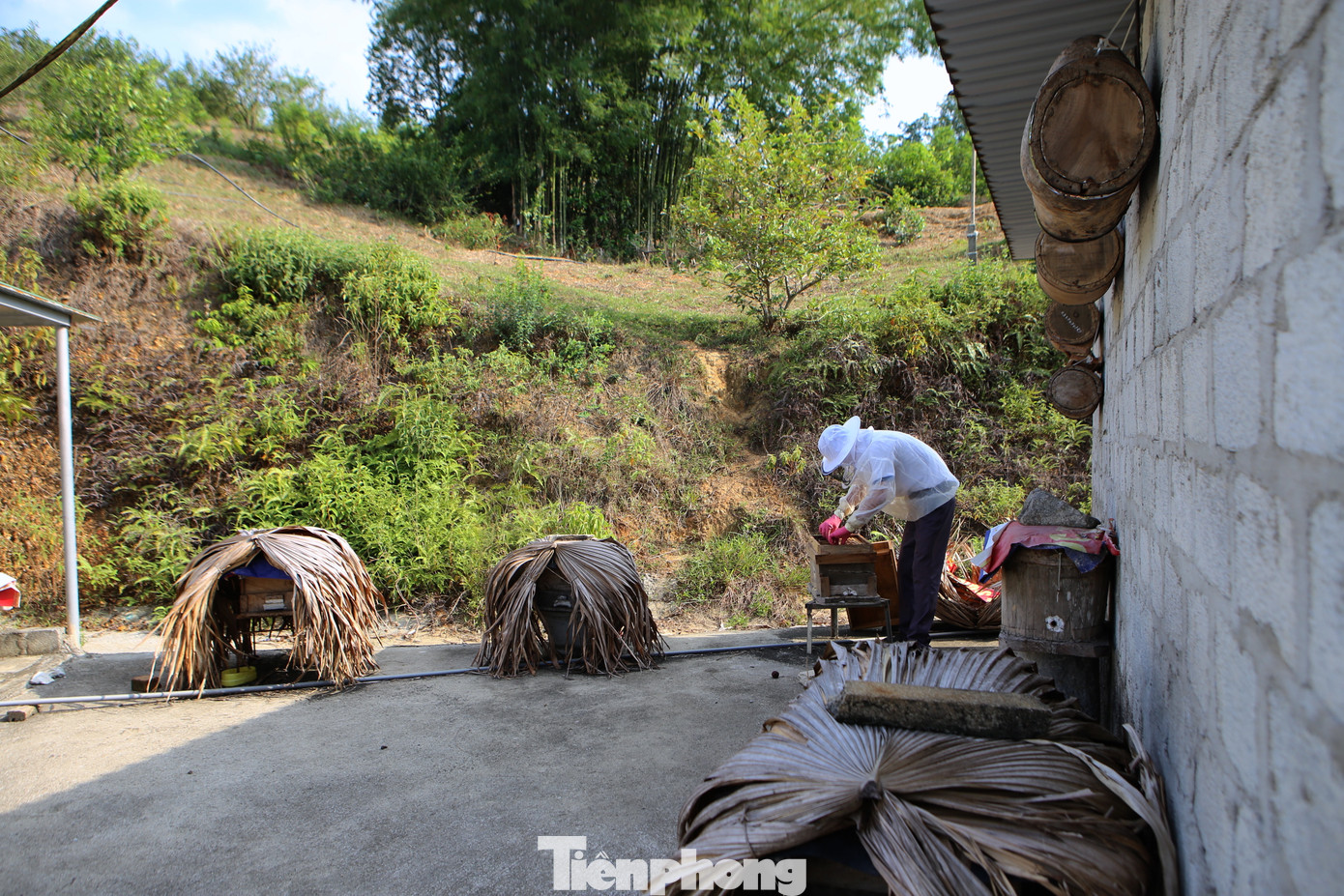 Hiện tại ông có hơn 20 tổ ong đang được nuôi tại vườn. Đây là những đàn ong mà ông đi bắt được vào mùa đông. Hiện tại ông có hơn 20 tổ ong đang được nuôi tại vườn. Đây là những đàn ong mà ông đi bắt được vào mùa đông.