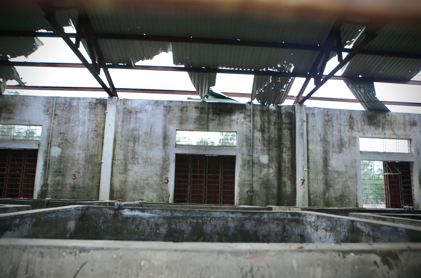 Ban đầu trại nuôi thực nghiệm và sản xuất giống thủy sản chủ yếu nuôi tôm giống trên cát.