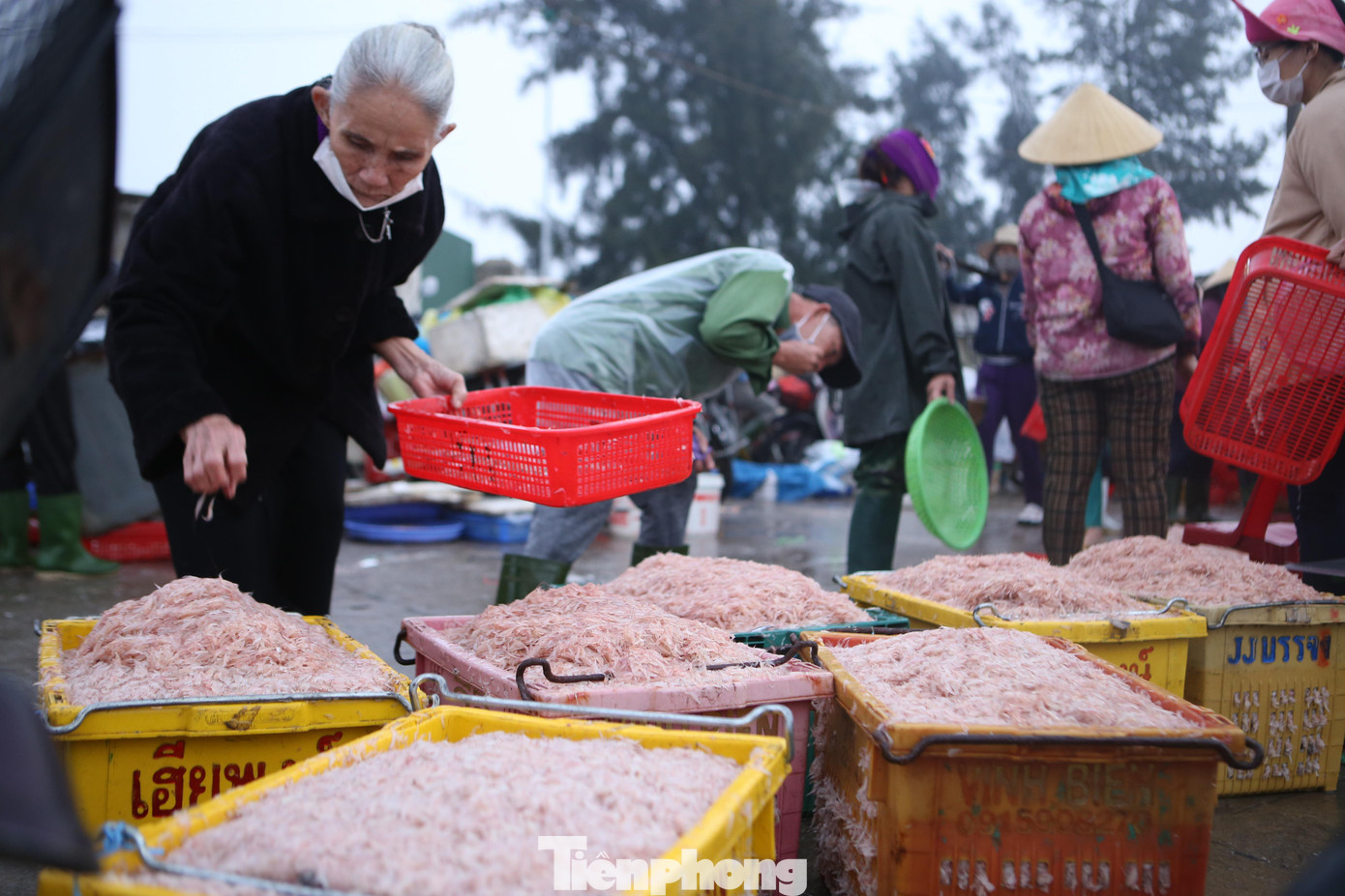 Những mẻ ruốc được ngư dân đánh bắt được đưa lên bờ để bán.