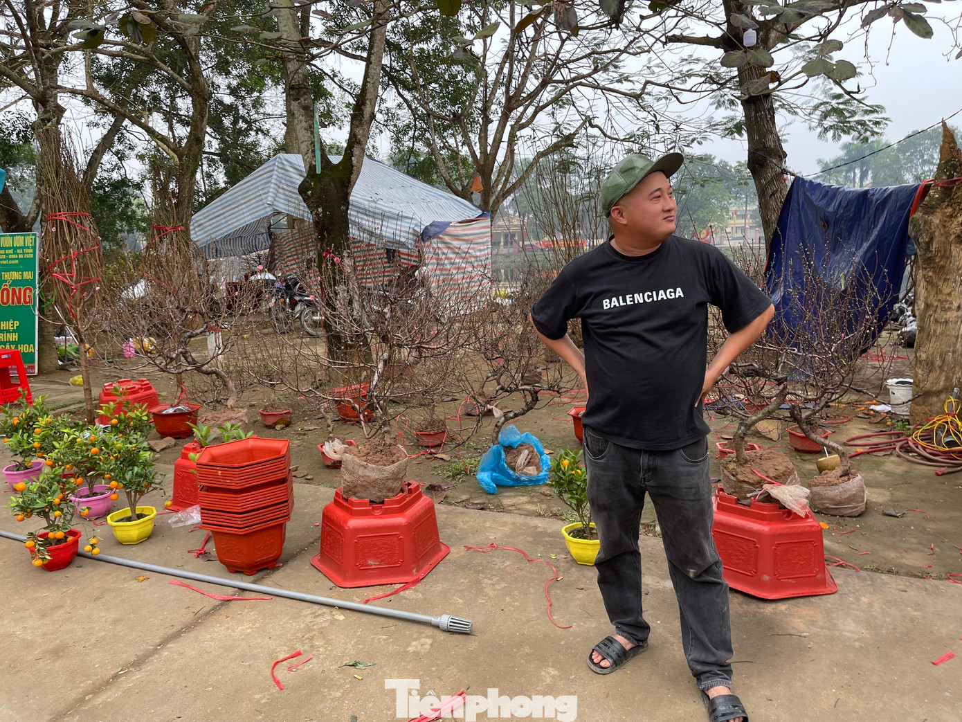 Anh Hồ Đình Phong (trú tại thị trấn Hương Khê) lấy hơn 400 gốc đào, quất về tại thị trấn Hương Khê để bán, tuy nhiên đến nay chỉ mới bán được hơn 100 gốc. Những gốc đào này hôm qua anh bán trên 1 triệu đồng, nhưng nay buộc phải xả lỗ xuống còn 400 ngàn đồng/gốc nhưng cũng khó bán.