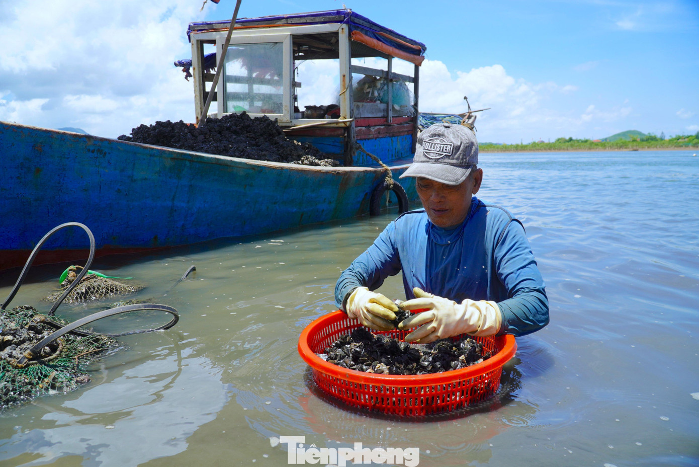 Ông Trần Quốc Khánh (trú thị xã Kỳ Anh) làm nghề bắt vẹm đen này khoảng 2 năm nay. Ông cho biết, trước đây khi chưa có người thu mua loại hải sản này nên không ai đánh bắt. Chỉ ít năm gần đây khi thương lái tìm về mua nhiều nên dân có thêm nghề mới. “Vẹm đen được mua và vận chuyển vào các khu vực miền Nam để làm thức ăn cho tôm hùm. Hiện thương lái đang thu mua với giá 180.000 đồng/tạ”, ông Khánh nói.
