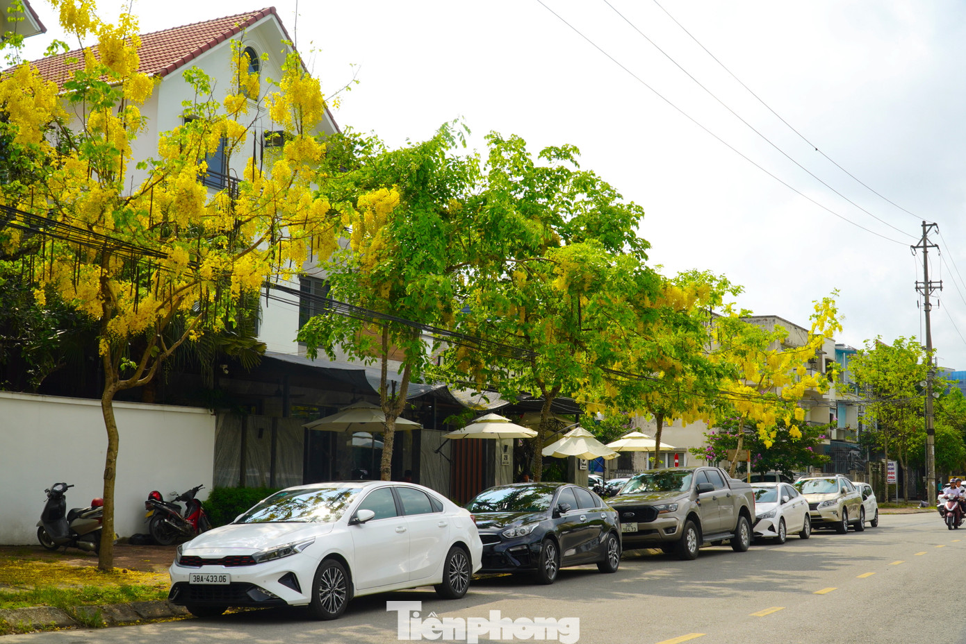 "Thành phố những ngày này thật đẹp với hoa muồng hoàng yến nở rộ trên các con đường. Sau những giờ làm mệt mỏi, được dạo dưới hàng cây vàng rực giúp tinh thần tôi phấn chấn hơn", chị Nguyễn Thị Thuý (30 tuổi, trú phường Nam Hà) cho hay.