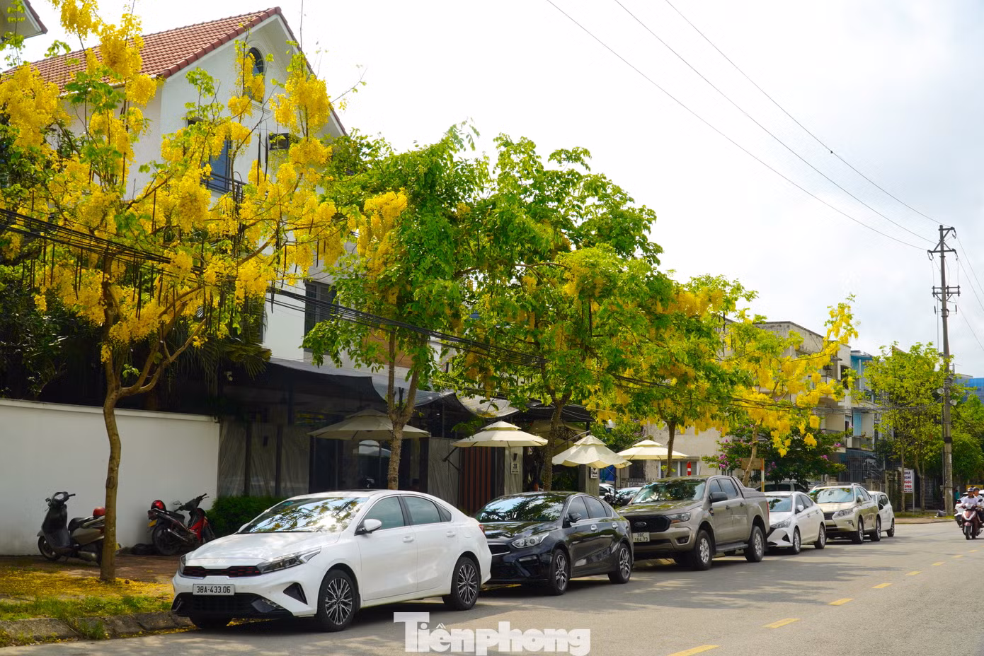 "Thành phố những ngày này thật đẹp với hoa muồng hoàng yến nở rộ trên các con đường. Sau những giờ làm mệt mỏi, được dạo dưới hàng cây vàng rực giúp tinh thần tôi phấn chấn hơn", chị Nguyễn Thị Thuý (30 tuổi, trú phường Nam Hà) cho hay.