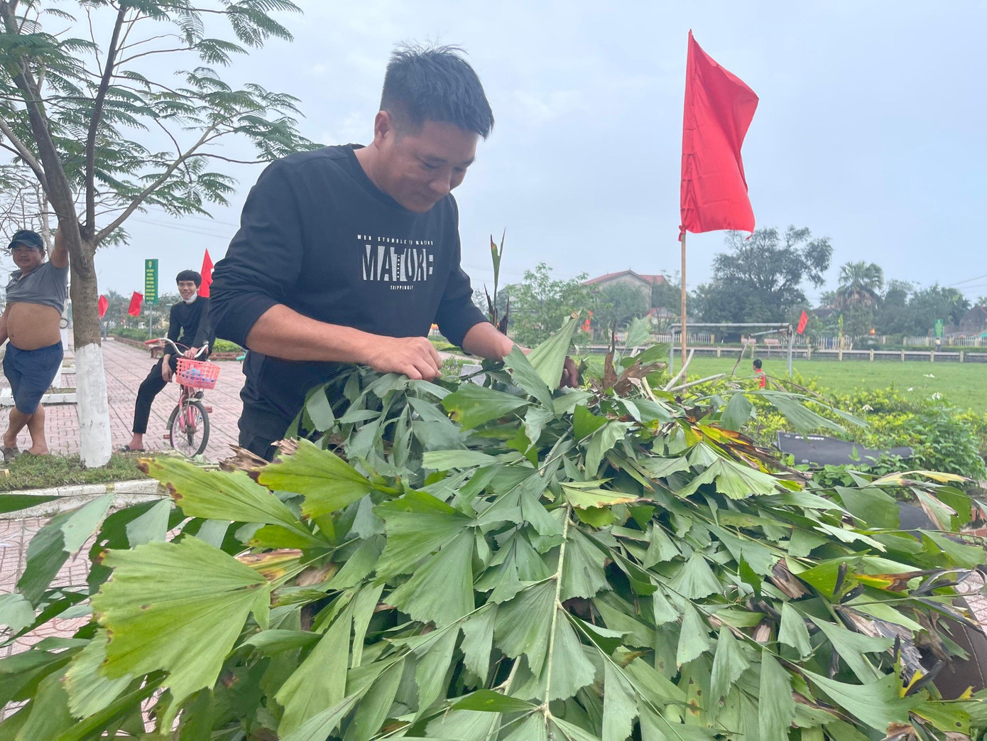 Tre được chọn những loại tre già, to, thẳng, không được cụt phần ngọn. Đặc biệt trên phần ngọn phải để lại một phần lá tươi hoặc cành để buộc thêm đèn lồng, lá đùng đình, lá cờ tổ quốc. Bắt nhịp với nhu cầu tiêu dùng của người dân trong dịp Tết, nhiều người dân đã thu mua cây tre về để bán.