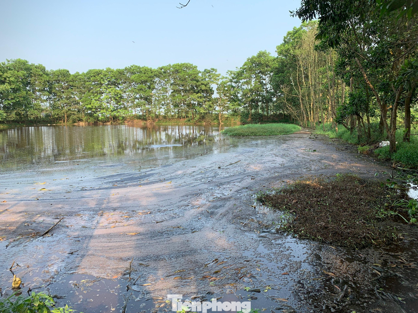 Hồ lắng số 1 của trang trại ông Đinh Thăng Long.