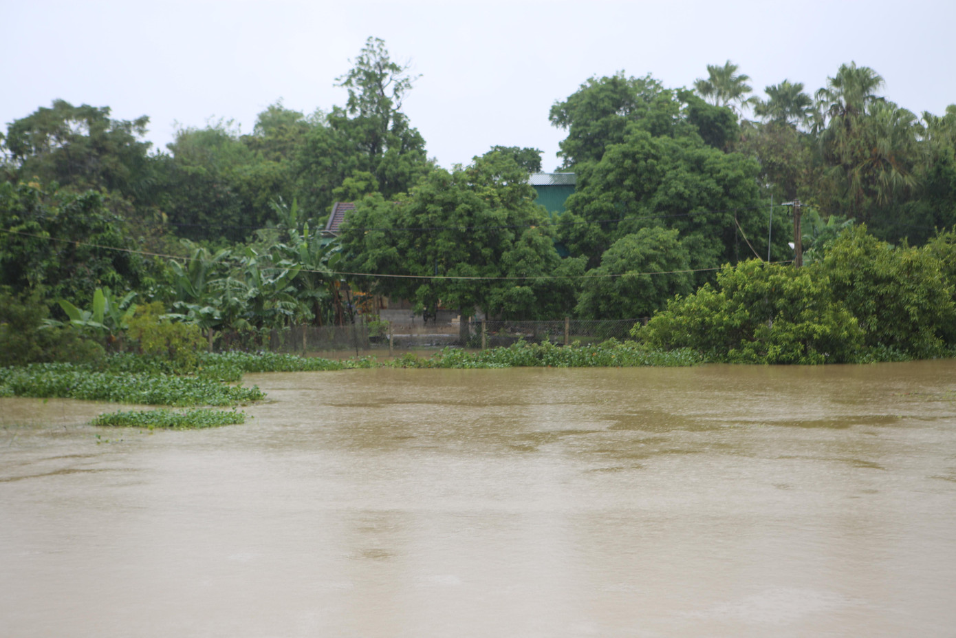 Một số hình ảnh ghi nhận tại xã Cẩm Vịnh. Hiện tại đang tiếp tục mưa lớn, người dân cho biết với lượng xả của hồ Kẻ Gỗ và mưa lớn lo sợ nước dâng vào nhà dân.