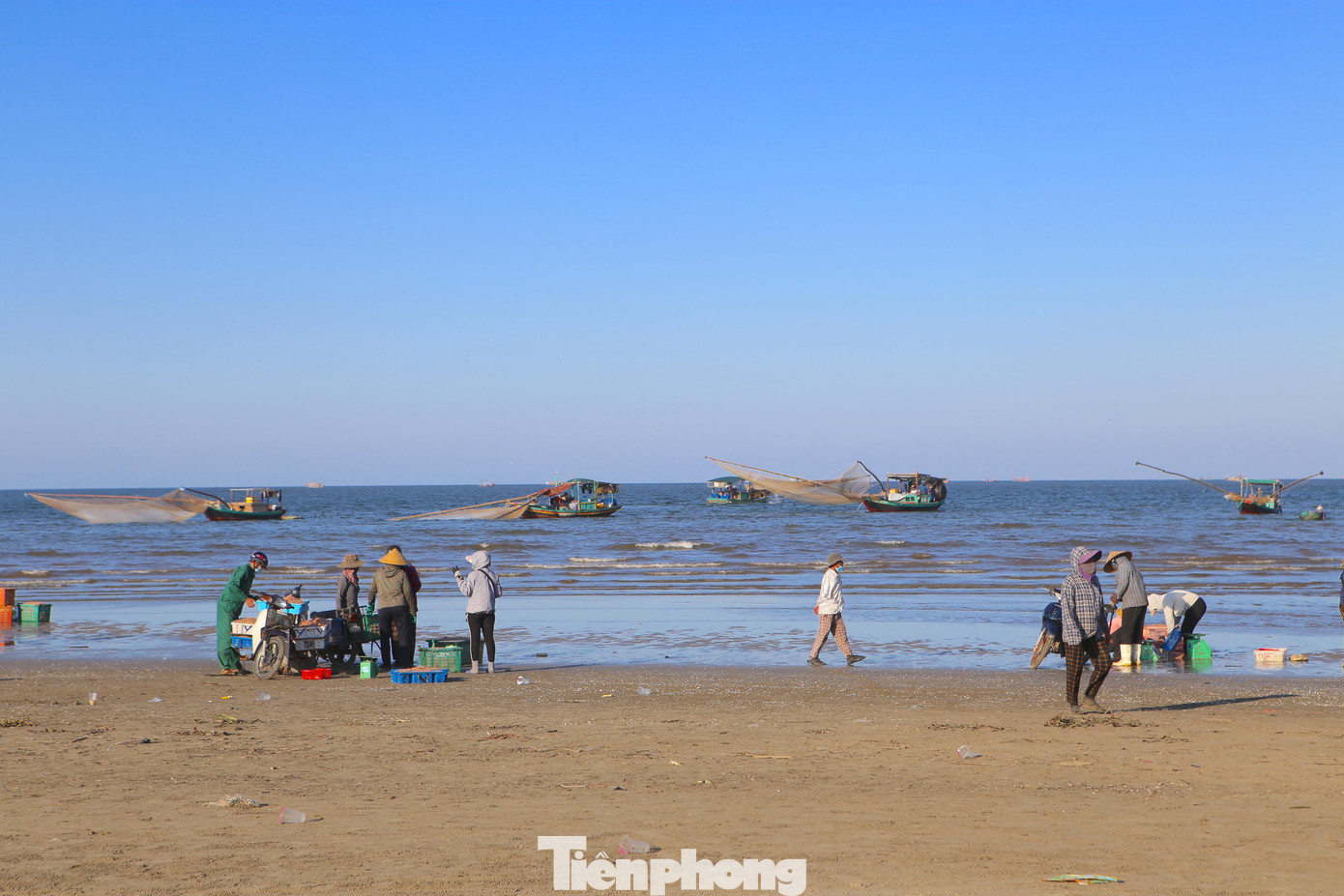 Những ngày này, chỉ trong một ngày khai thác, các tàu cá của ngư dân ở xã Thạch Kim (huyện Lộc Hà, tỉnh Hà Tĩnh) đã có thể thu về tiền triệu đến chục triệu mỗi ngày.