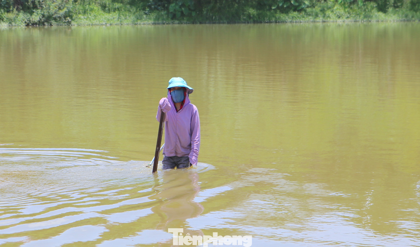 Để bắt được những con hến nằm sâu dưới lòng đất, chị Xoan phải ngâm mình dưới nước, đôi tay nắm chắc cán cào, dùng lực ghì mạnh xuống đáy sông, cùng nhịp đôi chân lùi về phía sau.
