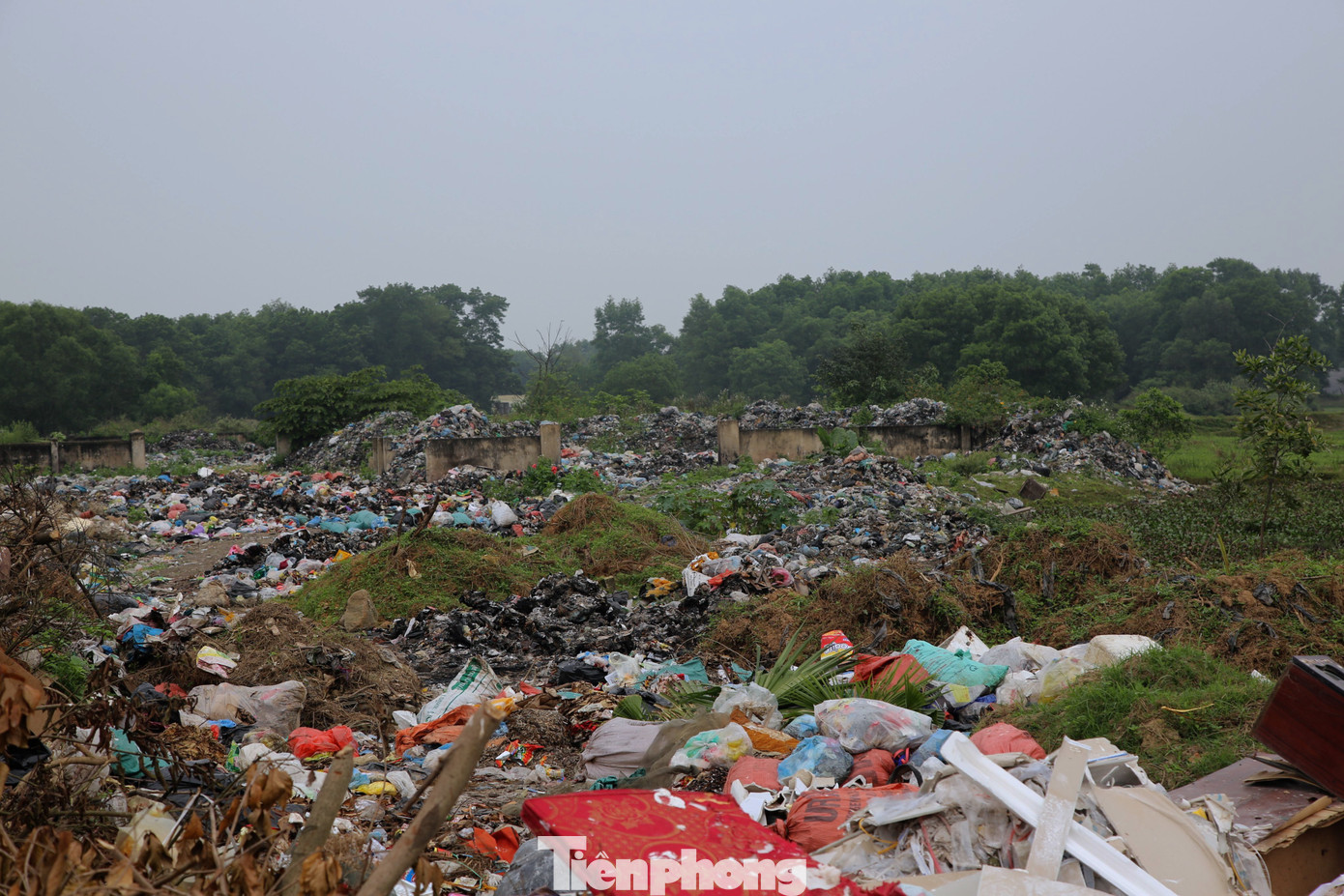 Trao đổi với Tiền Phong, ông Trần Bá Hoành, Chủ tịch UBND xã Lưu Vĩnh Sơn cho biết do lượng rác người dân không phân loại, mỗi tuần HTX Môi trường xã Lưu Vĩnh Sơn chỉ chở được 3 xe đi xử lý nên dẫn đến tình trạng ùn ứ tồn động rác tại bãi trung chuyển. Vì số lượng rác quá tải, ảnh hưởng đến khu dân cư nên địa phương đang xây dựng bãi trung chuyển tại một vị trí mới. Thời gian tới khi hoàn thiện sẽ vận chuyển toàn bộ đến khu trung chuyển mới này.