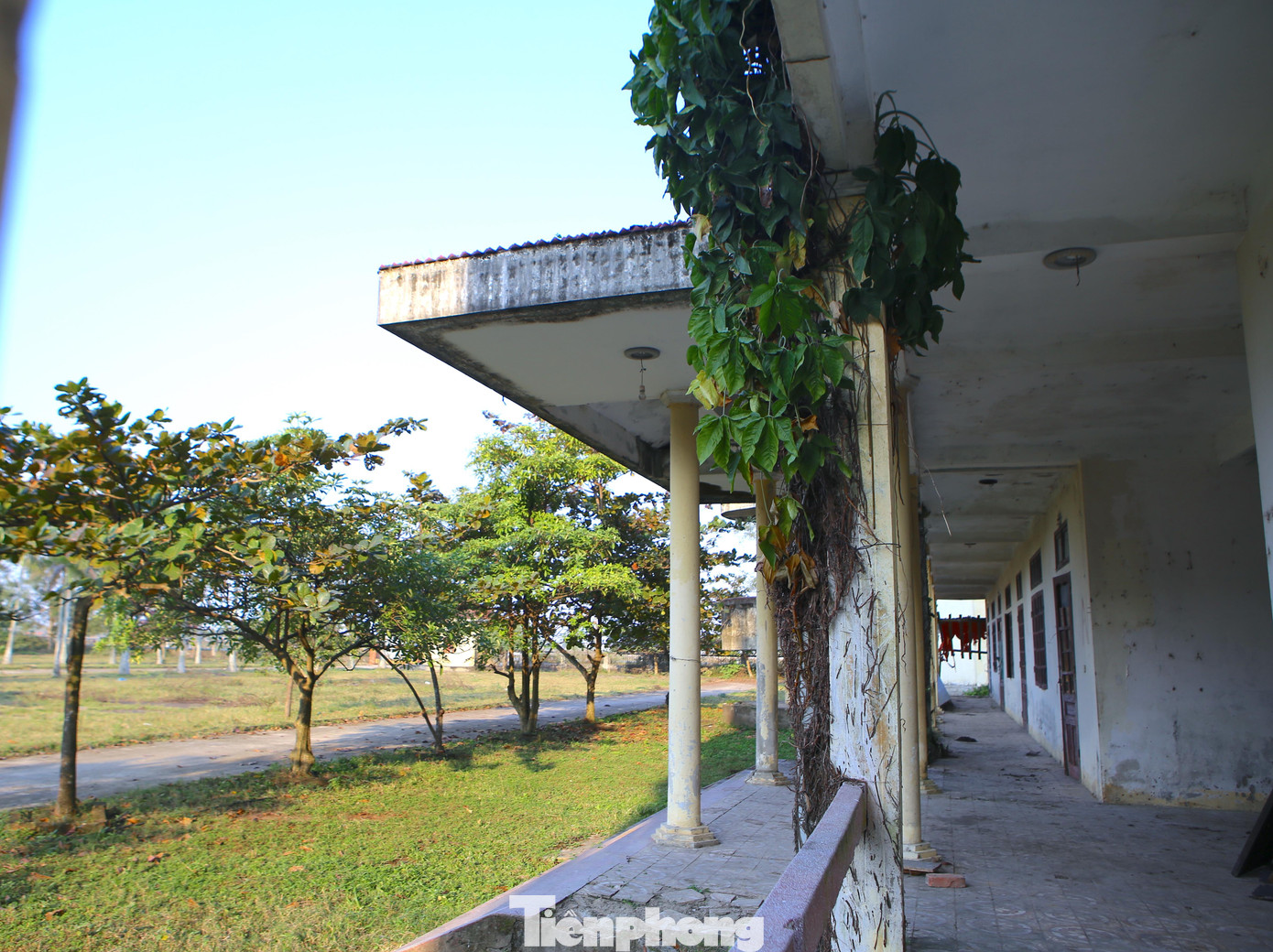 “Trước đây khi trường đang mở cửa cũng chỉ có ít học sinh theo học, sau một thời gian thì bỏ hoang cho đến nay. Bên trong giờ xuống cấp, mái nhà, phần cửa, hệ thống phòng đã hư hỏng nặng. Lâu không có ai bảo vệ nên dân thường đưa trâu, bò vào chăn thả bên trong”, ông Nguyễn Công Luận (trú thị trấn Xuân An) nói. Trao đổi với Tiền Phong, ông Đoàn Hoài Sơn - Hiệu trưởng trường Đại học Hà Tĩnh cho biết, từ năm 2017, trường Trung cấp Kỹ thuật và Phát triển nông nghiệp đã được bàn giao lại cho UBND tỉnh Hà Tĩnh quản lý. Phía tỉnh giao cho Sở Tài Chính bán, chuyển nhượng nhưng vẫn chưa bán được. Gần đây nhất tỉnh đang làm thủ tục chuyển nhượng cho một đơn vị khác sử dụng, còn phía trường đang thuê bảo vệ để bảo vệ tài sản ở trường bỏ hoang này.