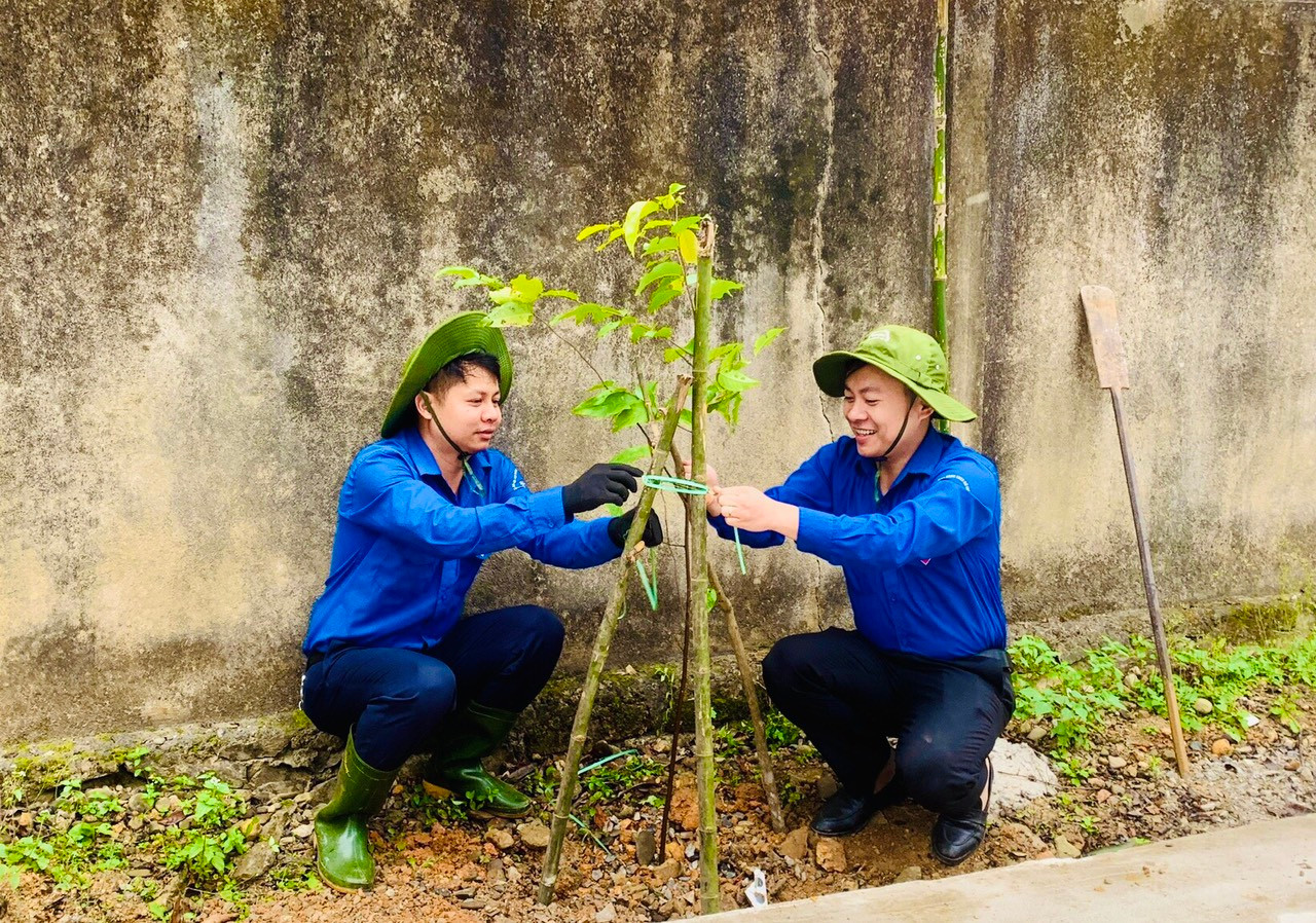 Tuổi trẻ thị trấn Hương Khê đã triển khai nhiều phần việc ý nghĩa như tổ chức trồng 30 cây sao đen; tổ chức tuyên truyền, phát tờ rơi không lấn chiếm lòng lề đường để kinh doanh buôn bán.