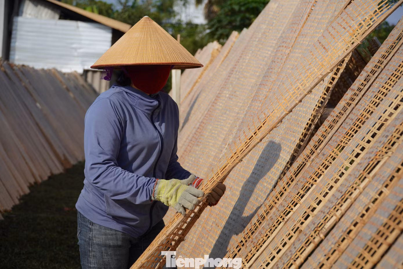 Bánh sau khi phơi khô đủ nắng sẽ đóng thành từng tệp để bán. Mỗi tệp bánh 100 cái, bán với giá từ 16-18 ngàn đồng/tệp, dịp Tết có thời điểm tăng lên đến 20.000-25.000 đồng/tệp.