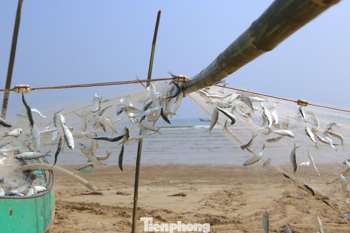 Ngư dân sử dụng cọc tre để kéo lưới cá từ thuyền để gỡ ra bán cho các thương lái. Ngư dân sử dụng cọc tre để kéo lưới cá từ thuyền để gỡ ra bán cho các thương lái.