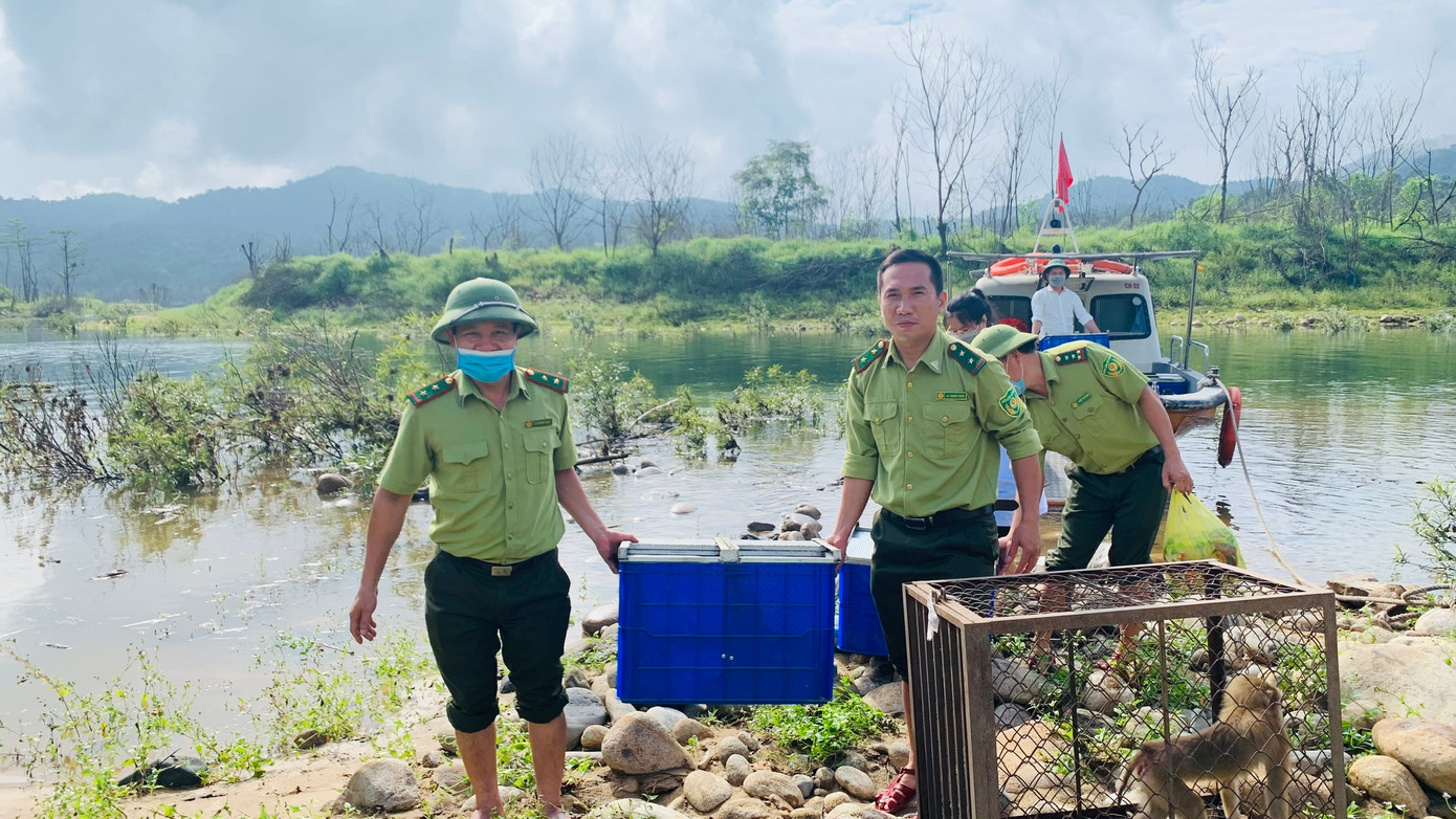 Tái thả động vật quý hiếm về môi trường tự nhiên. Tái thả động vật quý hiếm về môi trường tự nhiên.