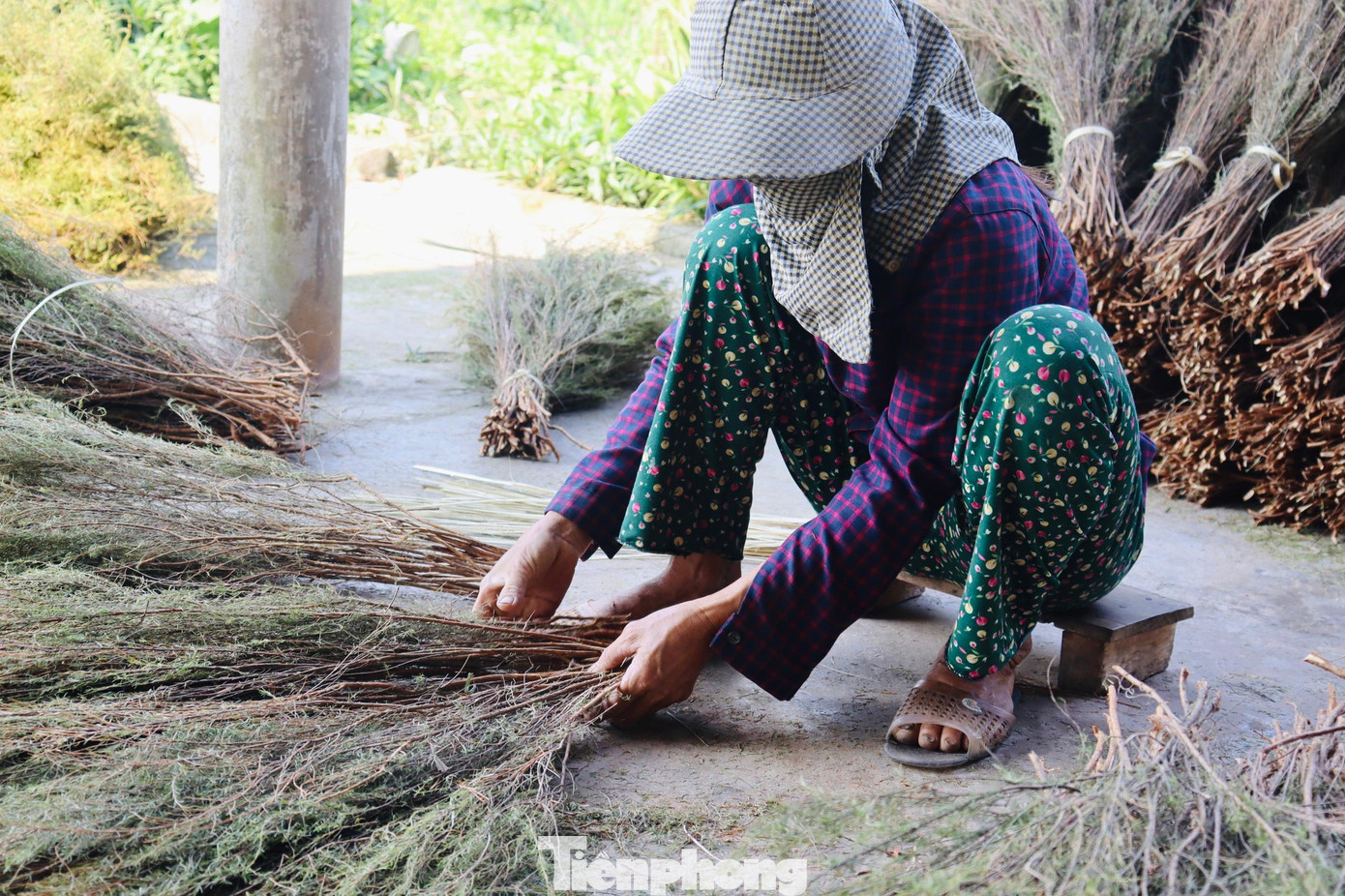 “Nghề làm chổi trện thì không lo ế ẩm, thương lái vào tận nơi để lấy không phải đưa ra bán lẻ tại các chợ. Như ngày nắng thế này, khoảng 2 ngày đã làm được từ 300-500 chiếc chổi, mỗi chiếc nhập với giá 15.000 đồng. Vào trúng vụ mùa thì làm không hết việc, giờ đây là thu nhập chính”, chị Mơ chia sẻ.