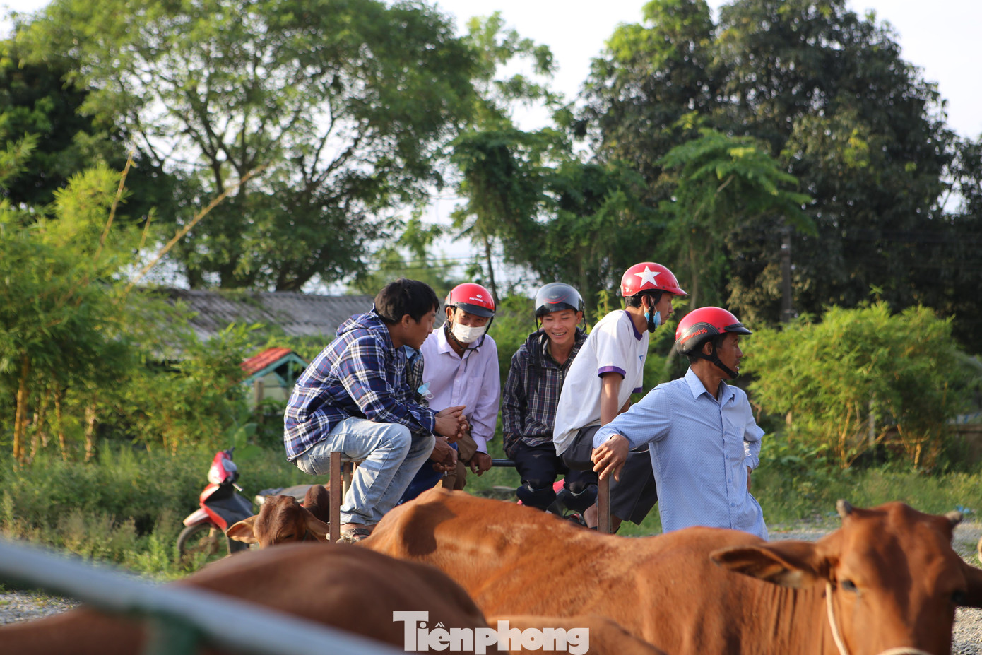 Trong lúc chờ khách đến mua, nhiều người ngồi thành từng nhóm để nói chuyện, bàn việc mua bán.