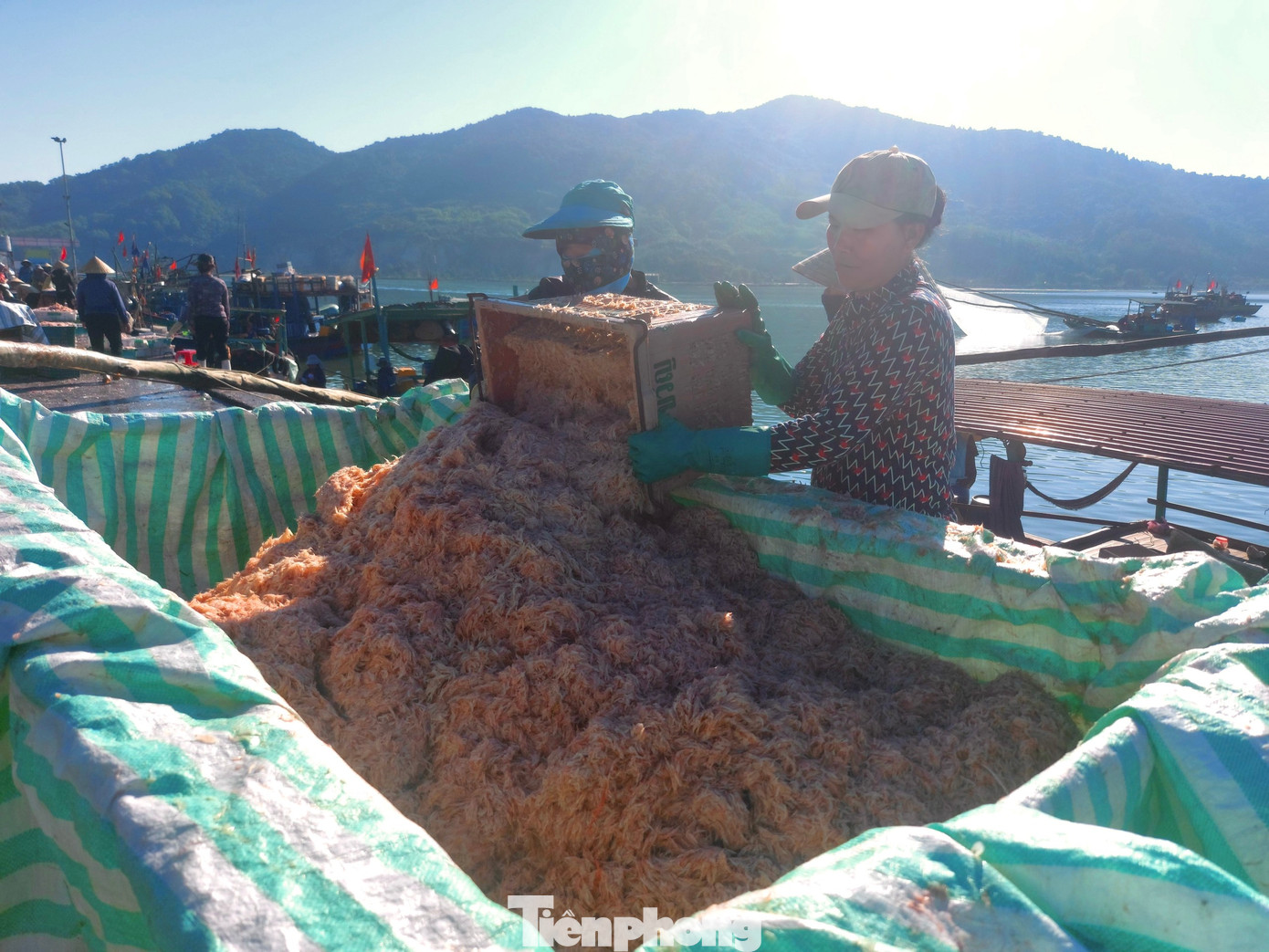 Mùa ruốc biển kéo dài từ tháng 10 Âm lịch đến tháng 5 năm sau. Ngoài chế biến mắm và các món ăn khác, ruốc biển còn được phơi, sấy khô làm thực phẩm sử dụng quanh năm. Mùa ruốc biển kéo dài từ tháng 10 Âm lịch đến tháng 5 năm sau. Ngoài chế biến mắm và các món ăn khác, ruốc biển còn được phơi, sấy khô làm thực phẩm sử dụng quanh năm.