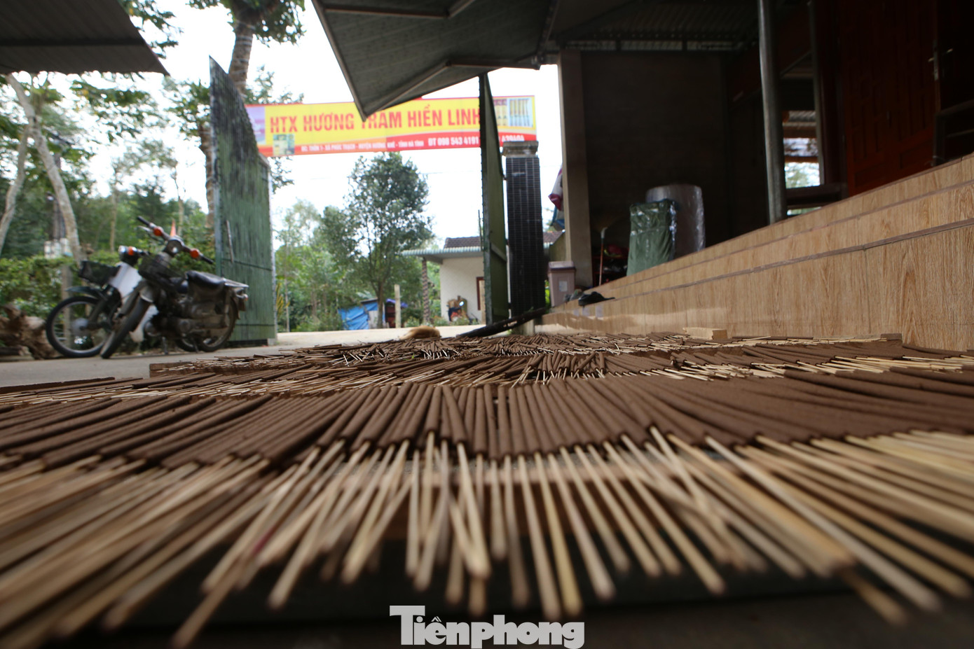 Với quan niệm dó trầm đưa lộc vào nhà, mang lại may mắn cho gia chủ trong dịp Tết. Do vậy, nhu cầu về các sản phẩm từ dó trầm những ngày tết ngày càng lớn. Những sản phẩm từ cây dó trầm không chỉ được bán ở thị trường trong nước mà còn được bán ra cả nước ngoài.