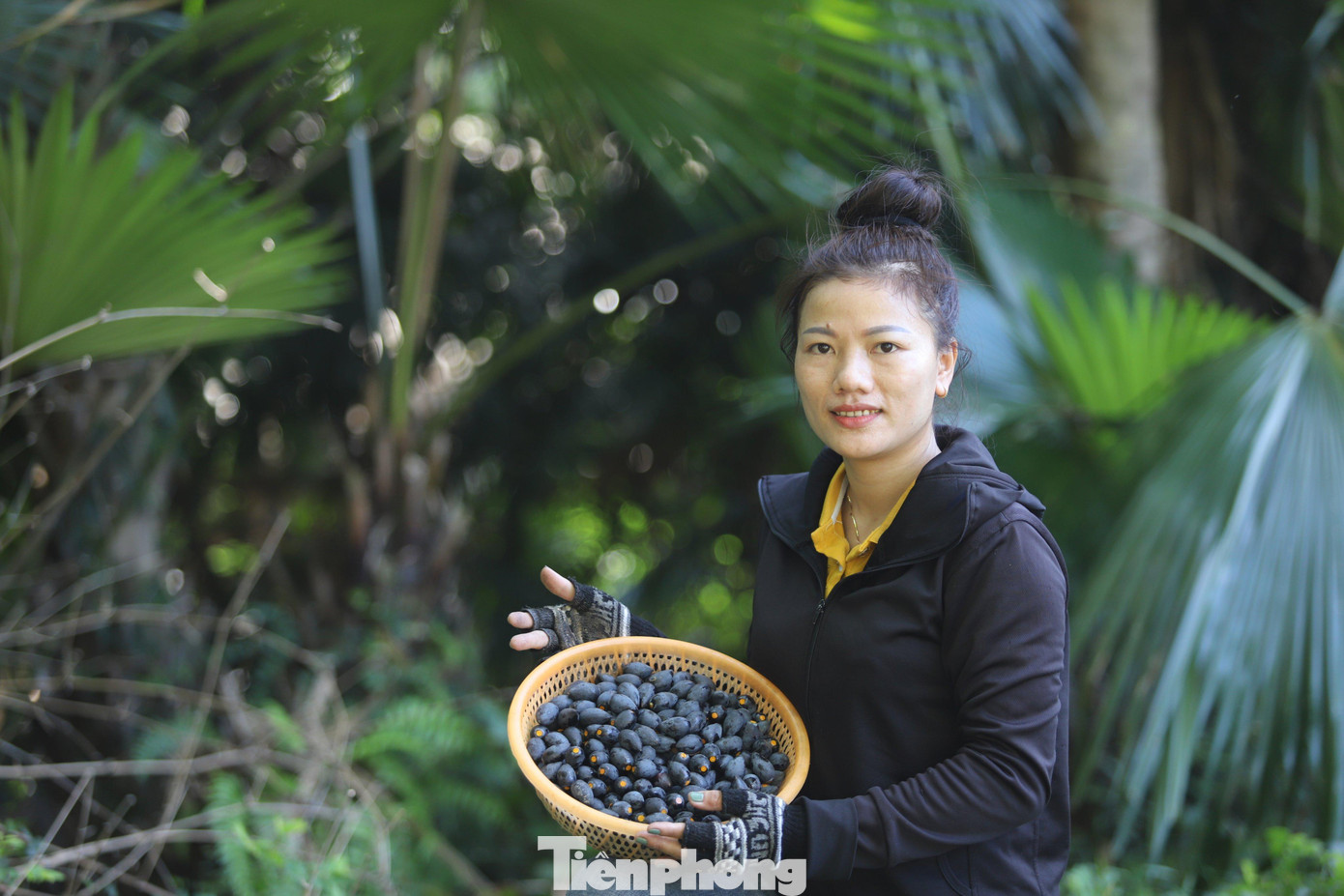 Quả trám có thể đem chế biến nhiều món ăn dân dã như: trám kho thịt lợn, trám muối, xôi trám, trám xào nhộng ong...