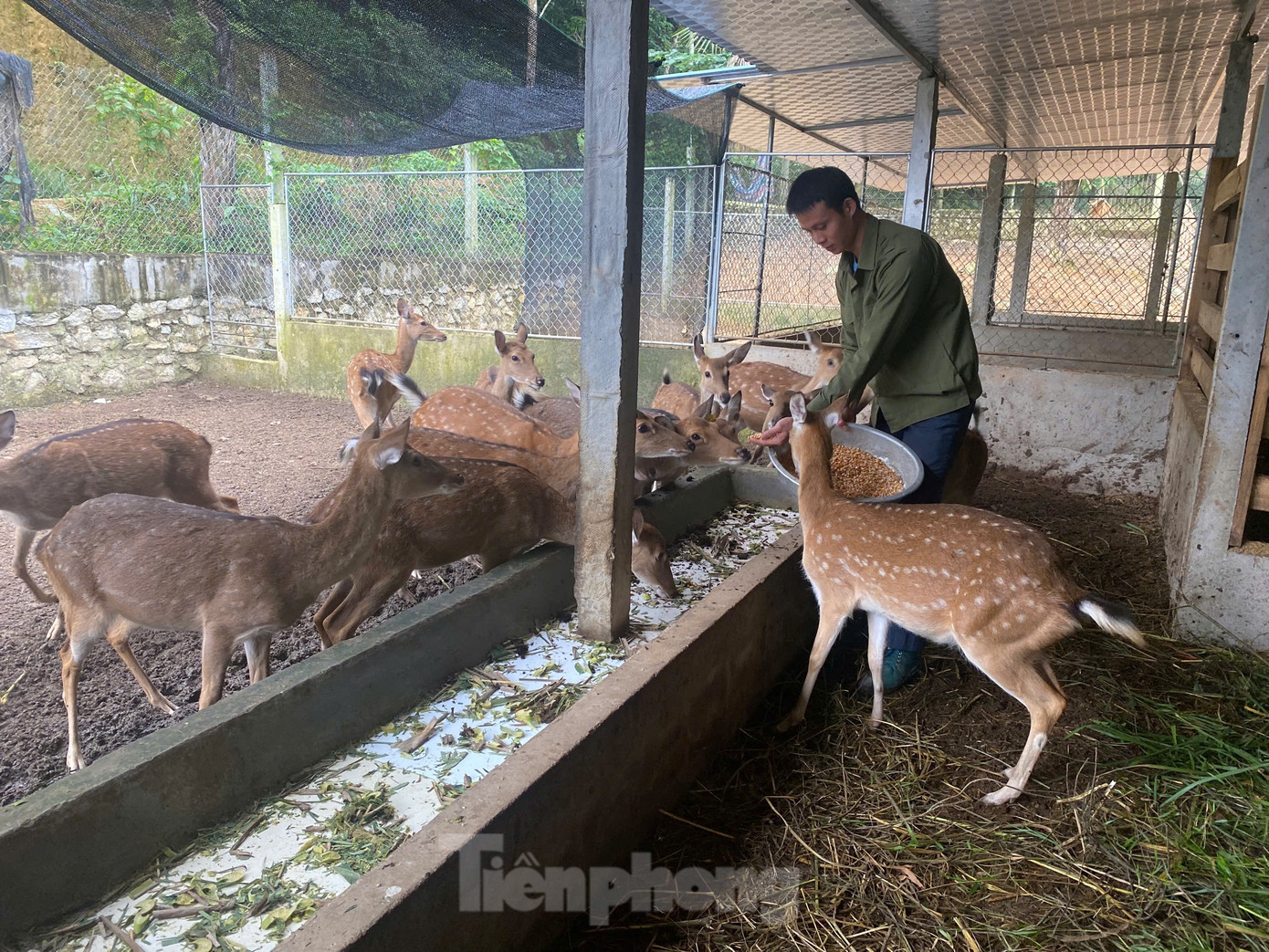 Anh Nguyễn Hồng Tiệp - Bí thư Đoàn xã Sơn Giang, gương sáng trong phát triển kinh tế.