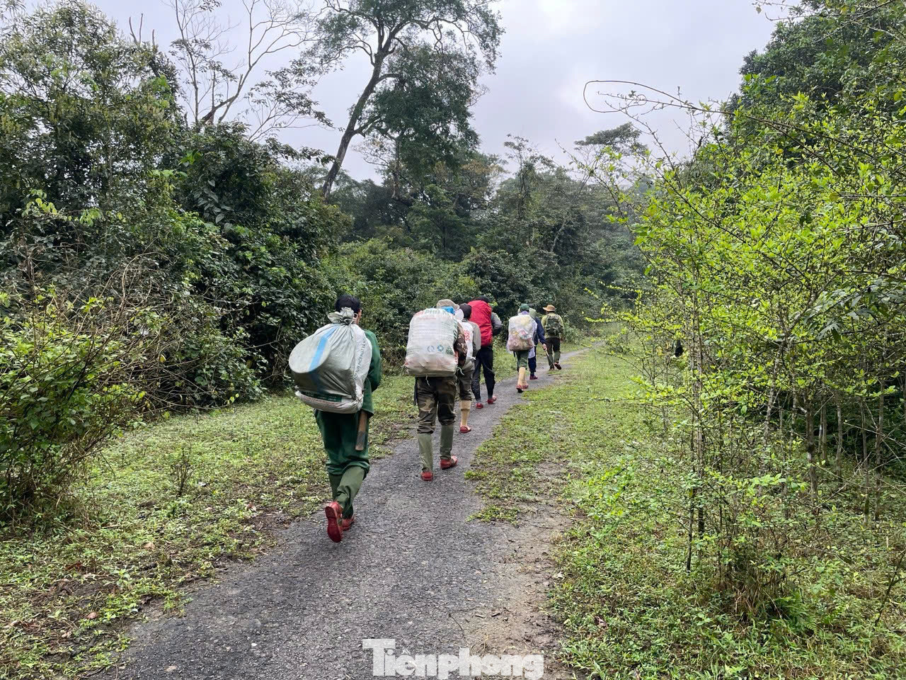 Mỗi người mang những bao tải đựng thực phẩm, dụng cụ vào rừng. Mỗi người mang những bao tải đựng thực phẩm, dụng cụ vào rừng.