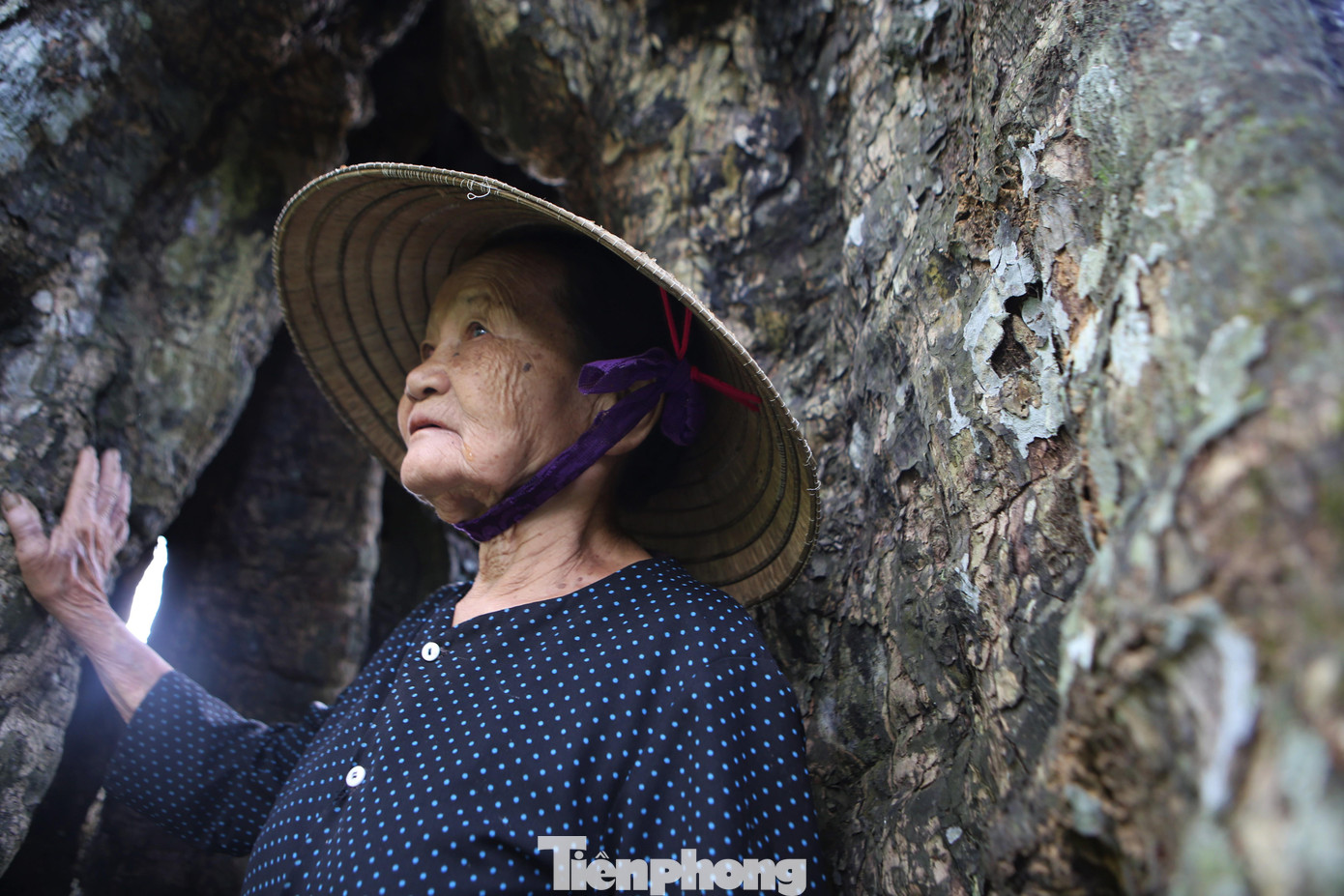 “Hàng tháng, vào dịp ngày rằm và cuối tháng, dân đến thắp hương cầu xin điều may mắn", bà Nhuận chia sẻ.