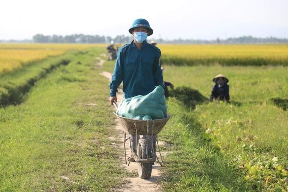 Lực lượng chức năng cùng người dân xuống đồng thu hoạch dưa giúp dân thôn Việt Yên.