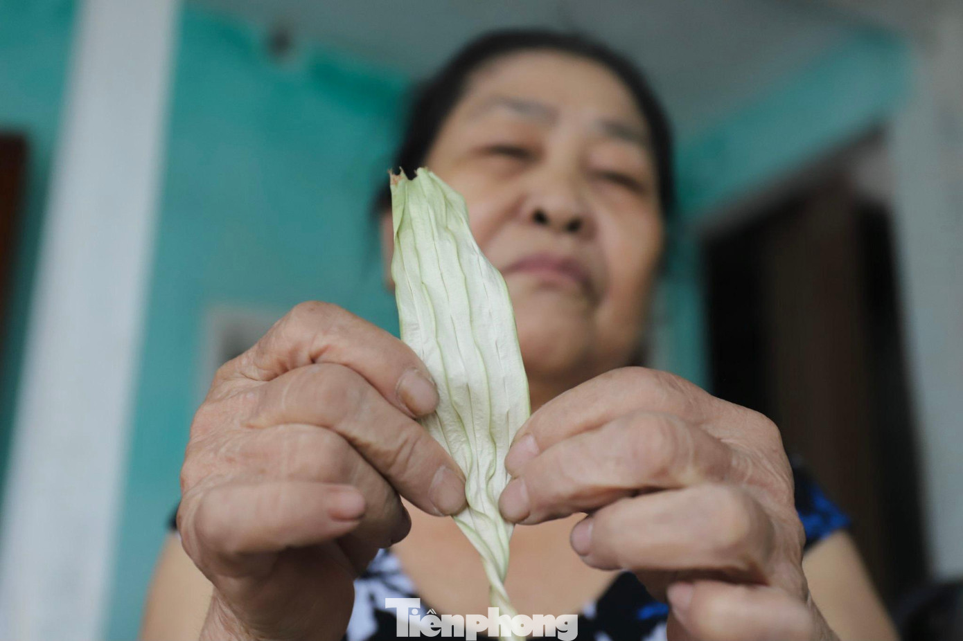 Lá nón được người dân làm phẳng thủ công. Những thanh tre được làm nhọn, mỏng để làm khuôn nón.