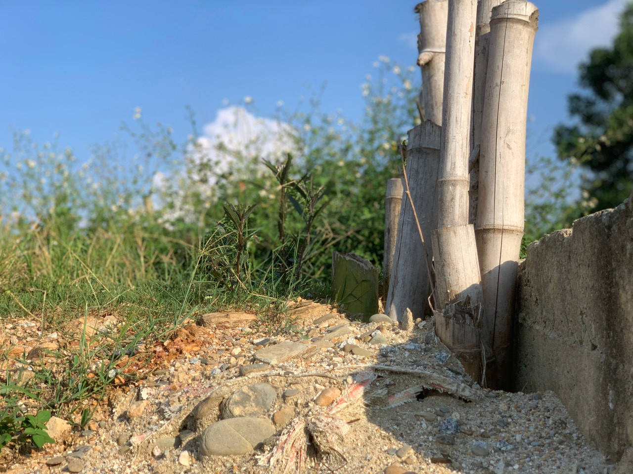 Trong ảnh tại đập Quát (huyện Hương Sơn) hư hỏng, ngành chức năng đóng cọc tre để bảo vệ. Trong ảnh tại đập Quát (huyện Hương Sơn) hư hỏng, ngành chức năng đóng cọc tre để bảo vệ.