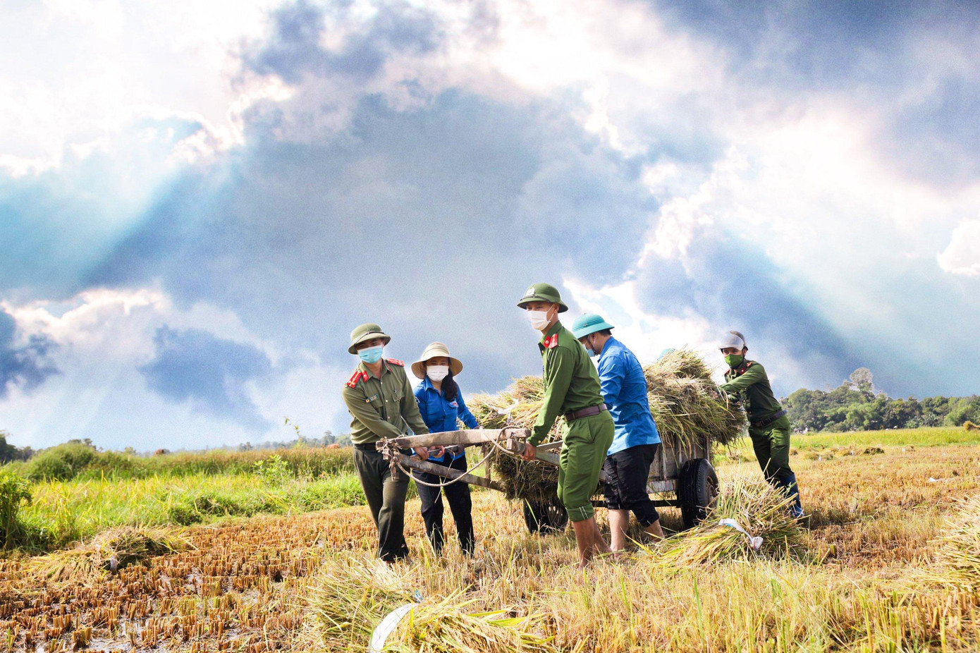 Trước diễn biến phức tạp của thời tiết, để ứng phó với cơn bão Côn Sơn, trong ngày hôm nay (10/9), các lực lượng đoàn cơ sở trên toàn tỉnh Hà Tĩnh đã đồng loạt ra quân xuống đồng giúp đỡ người dân thu hoạch lúa để giảm thiểu những thiệt hại do ảnh hưởng của mưa bão.