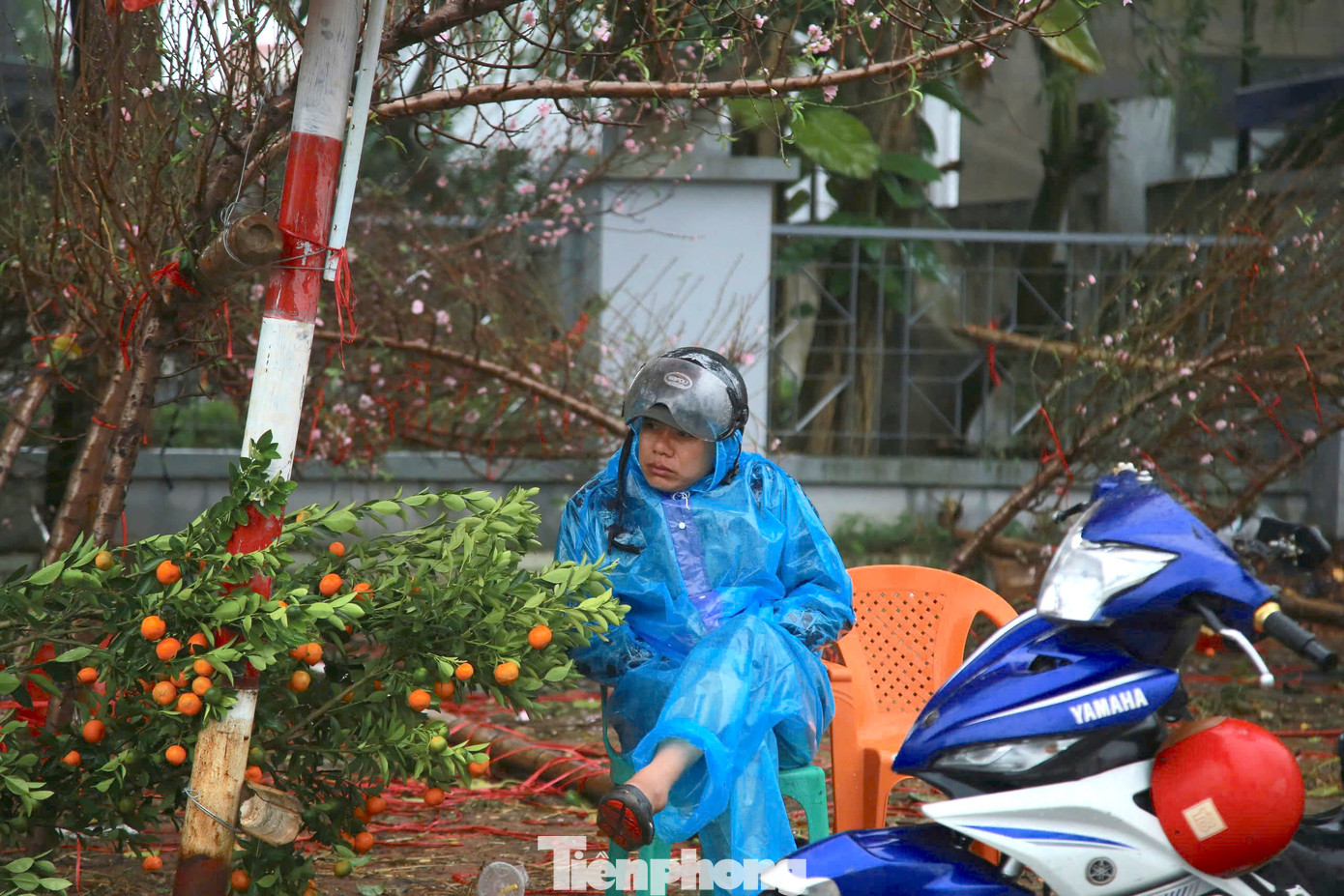 Do mưa lớn, sức mua chậm, tiểu thương co ro trong giá rét chờ khách mua.