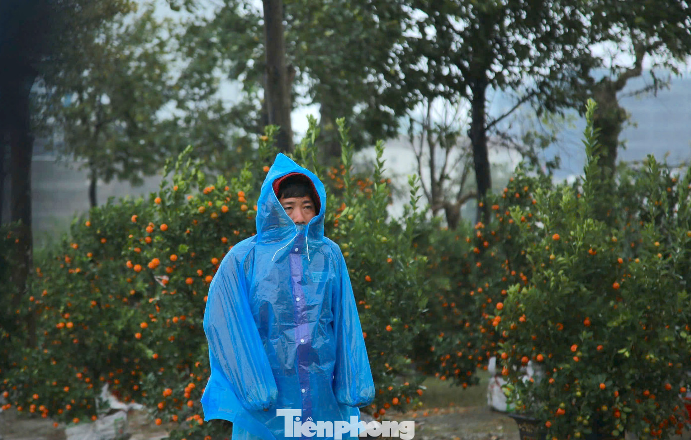 Nhiều tiểu thương đứng dưới mưa phùn, giá rét lo lắng vì sức mua thấp, sát Tết nhưng nhiều số lượng đào quất chưa bán được.