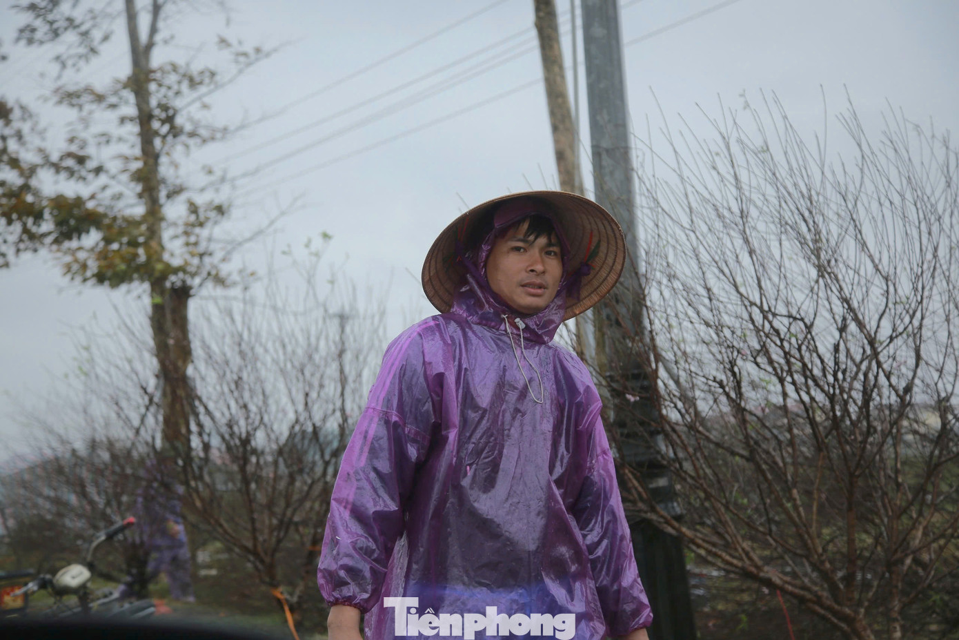 Năm nay anh Võ Tá Đức (SN 1990, trú Thạch Trung, thành phố Hà Tĩnh) nhập 50 chậu quất cảnh và 200 gốc đào đưa về thành phố Hà Tĩnh để bán. Tuy nhiên đến 27 Tết, số lượng cây cảnh bán ra chưa được một nửa. "Hôm nay lại xuất hiện mưa gió khiến các gốc cây ngã đổ, gây thiệt hại đáng kể. Tôi và bạn bỏ vốn ra khoảng 300 triệu nhưng hiện giờ chưa thu hồi được một nửa. Giờ chỉ mong đến Tết bán được hết, vớt vát lại số tiền bỏ ra”, anh Đức nói.