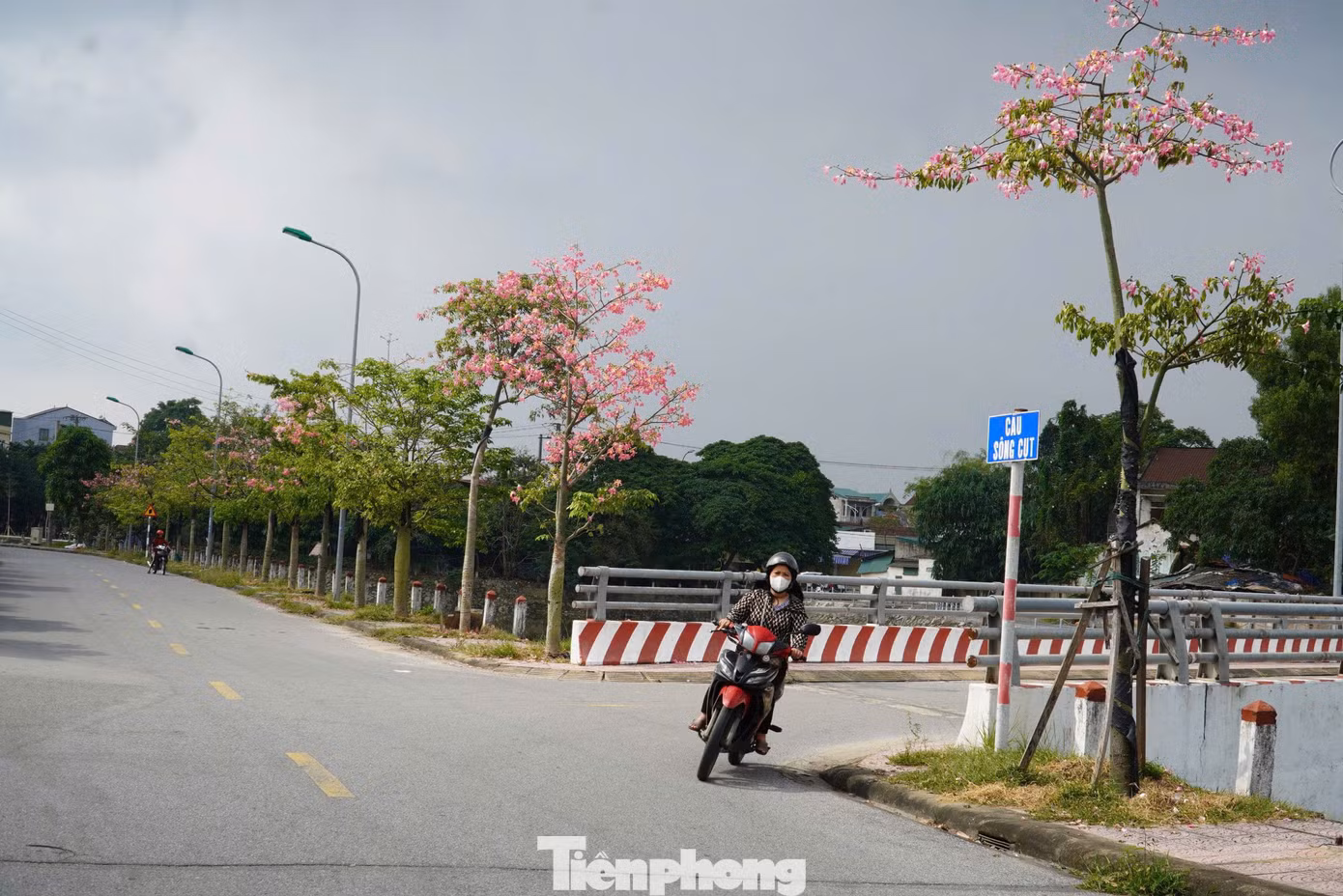 Các tuyến đường ở hào thành được xây dựng mở rộng, bên hào trồng những cây xanh, loài hoa nở rộ.