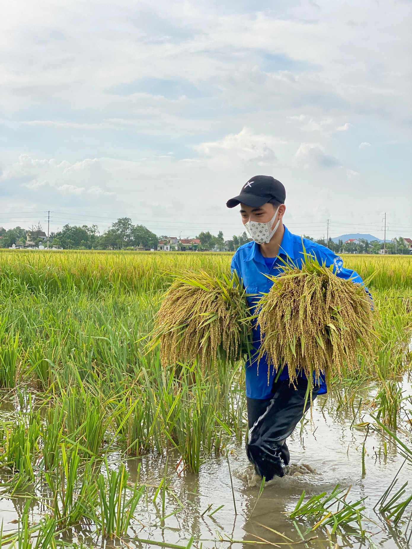 Các đoàn viên thanh niên thị xã Hồng Lĩnh không ngại khó khăn, lội nước để ôm lúa lên bờ sau khi gặt xong.