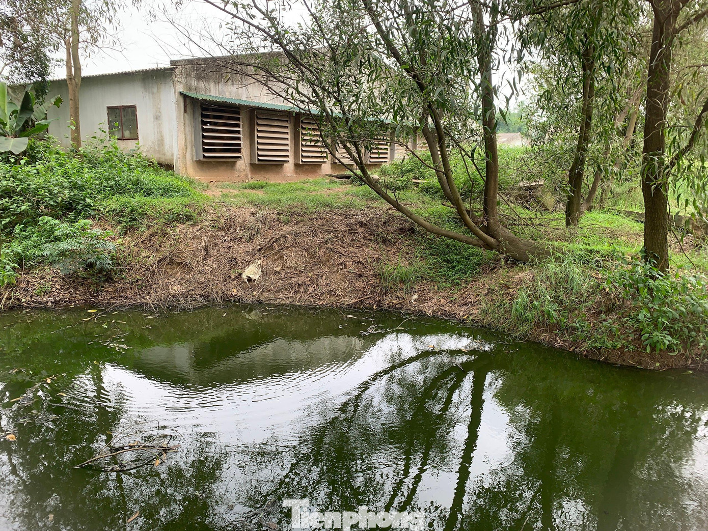 Trang trại của ông Phạm Trần Sum vi phạm 2 lỗi bị phạt 33,5 triệu đồng.