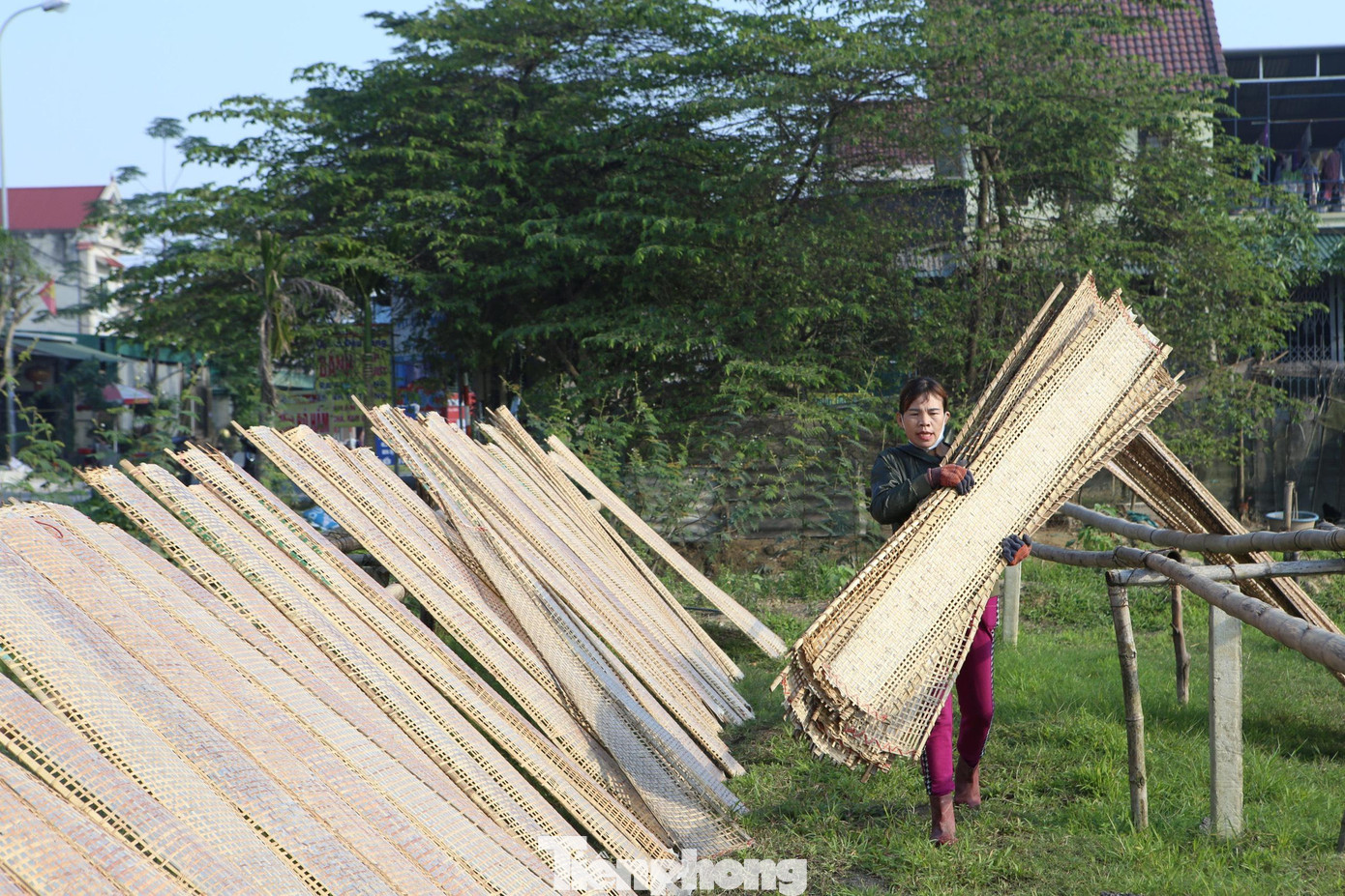 Chị Trần Thị Cảnh (thôn Bình) cho biết, nguyên liệu chính để làm bánh đa nem là gạo, đường và muối. Gạo sẽ được ngâm khoảng 2-3 tiếng, để ráo rồi xay thành bột, sau đó thăng đường lên để tạo thành màu, hoà tan với bột rồi tráng bánh.