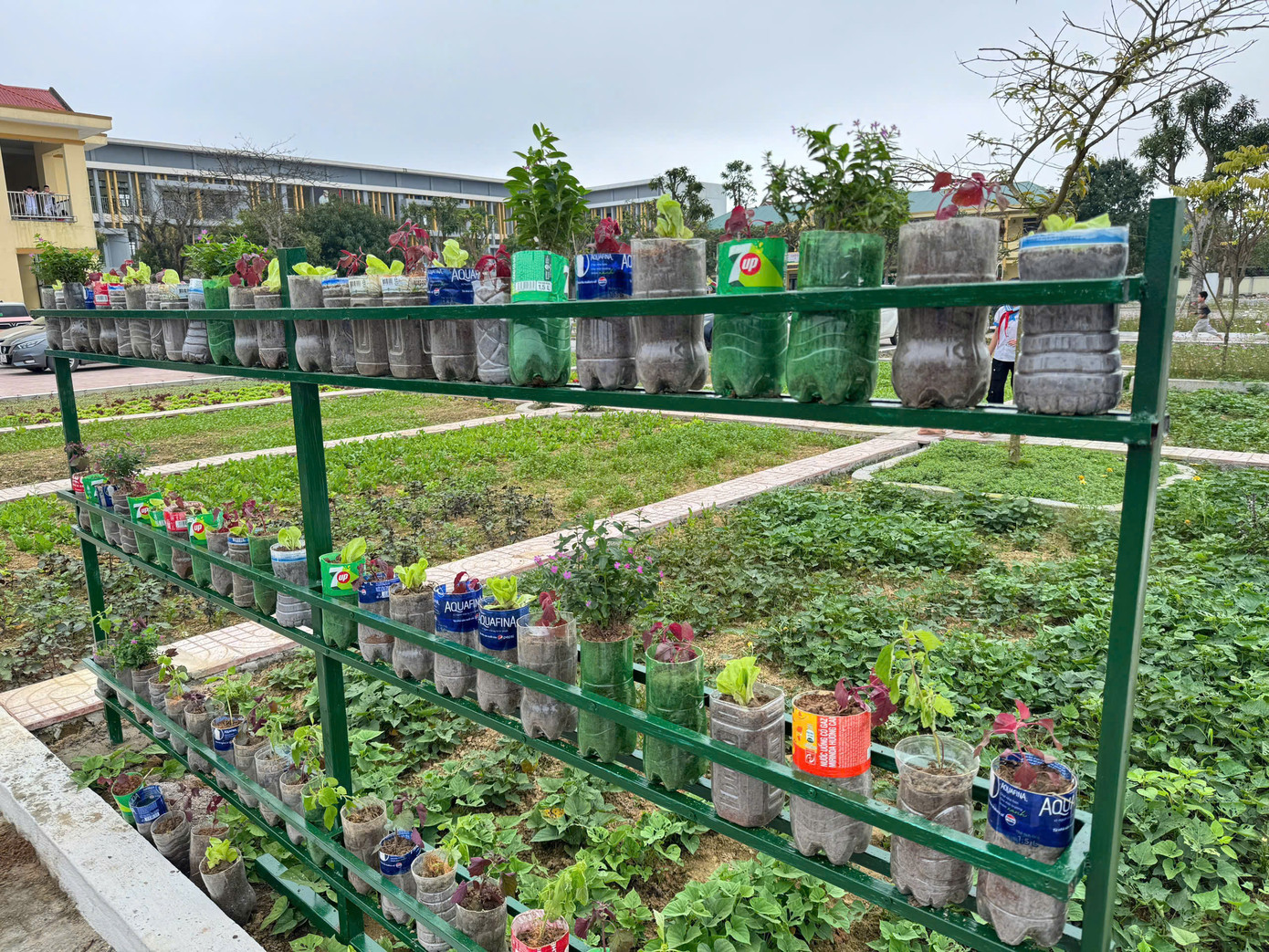 Công trình thanh niên giúp học sinh thay đổi hành vi và hành động không sử dụng các đồ nhựa dùng 1 lần như ống hút, cốc nhựa, thìa dĩa, hộp xốp, túi ni lông, áo mưa 1 lần… Thay vào đó những vỏ chai nhựa được tận dụng trồng cây trang trí.