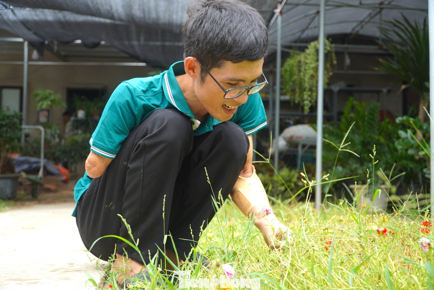 Nghĩ là làm, anh Sỹ bàn bạc với vợ rồi quyết định mở một vườn hoa cảnh tại thành phố Hà Tĩnh để vừa kiếm thêm thu nhập, lại đúng chuyên môn được đào tạo bài bản của 2 vợ chồng.