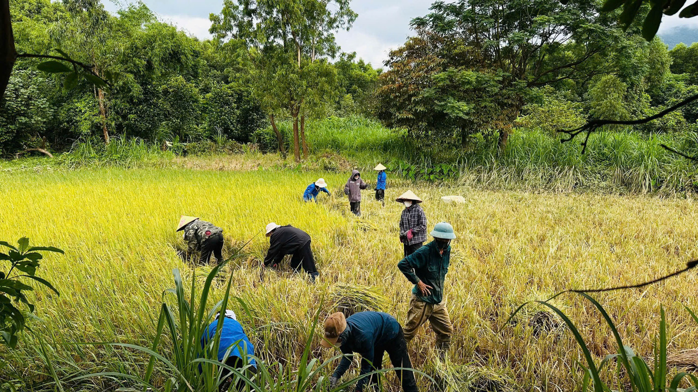 Không quản nắng nóng, bùn đất hay những thửa ruộng trũng sâu, tuổi trẻ Hà Tĩnh đã để lại những hình ảnh đẹp.