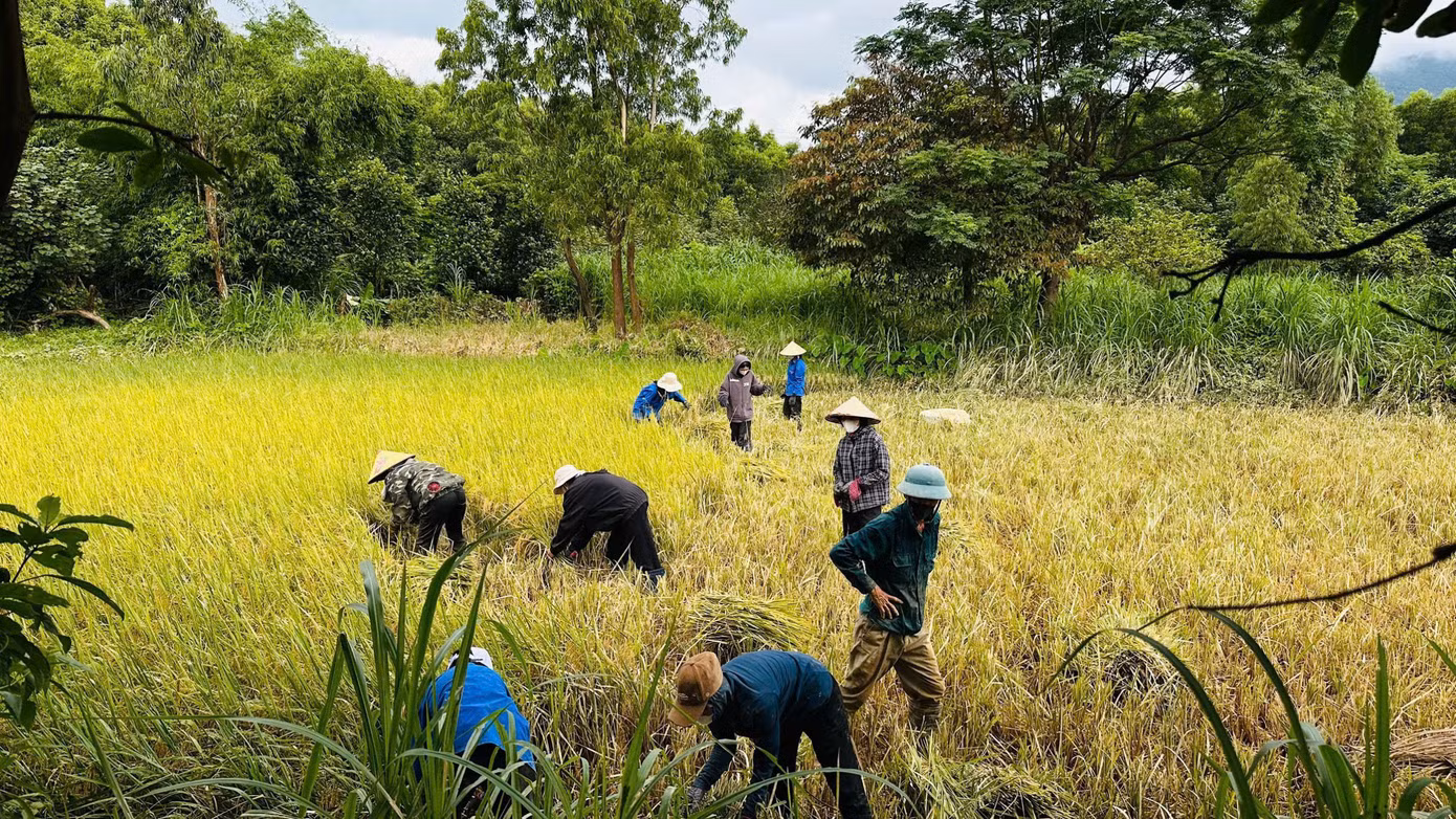 Không quản nắng nóng, bùn đất hay những thửa ruộng trũng sâu, tuổi trẻ Hà Tĩnh đã để lại những hình ảnh đẹp. Không quản nắng nóng, bùn đất hay những thửa ruộng trũng sâu, tuổi trẻ Hà Tĩnh đã để lại những hình ảnh đẹp.