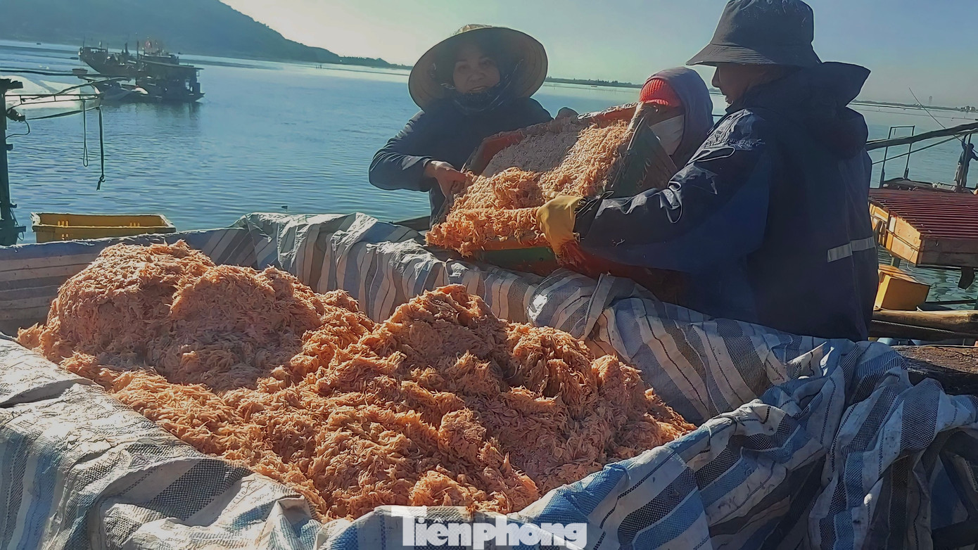 Thuyền của ngư dân Nguyễn Hữu Quang (53 tuổi, trú tại xã Thạch Kim, huyện Lộc Hà) ra biển với phạm vi từ 3-6 hải lý đánh bắt ruốc. Nhờ biển lặng, điều kiện thời tiết thuận lợi nên đã trúng gần 1 tấn ruốc biển sau vài giờ đánh bắt. Mẻ ruốc này được thương lái đến thu mua tận nơi với giá hơn 4 triệu đồng. Thuyền của ngư dân Nguyễn Hữu Quang (53 tuổi, trú tại xã Thạch Kim, huyện Lộc Hà) ra biển với phạm vi từ 3-6 hải lý đánh bắt ruốc. Nhờ biển lặng, điều kiện thời tiết thuận lợi nên đã trúng gần 1 tấn ruốc biển sau vài giờ đánh bắt. Mẻ ruốc này được thương lái đến thu mua tận nơi với giá hơn 4 triệu đồng.