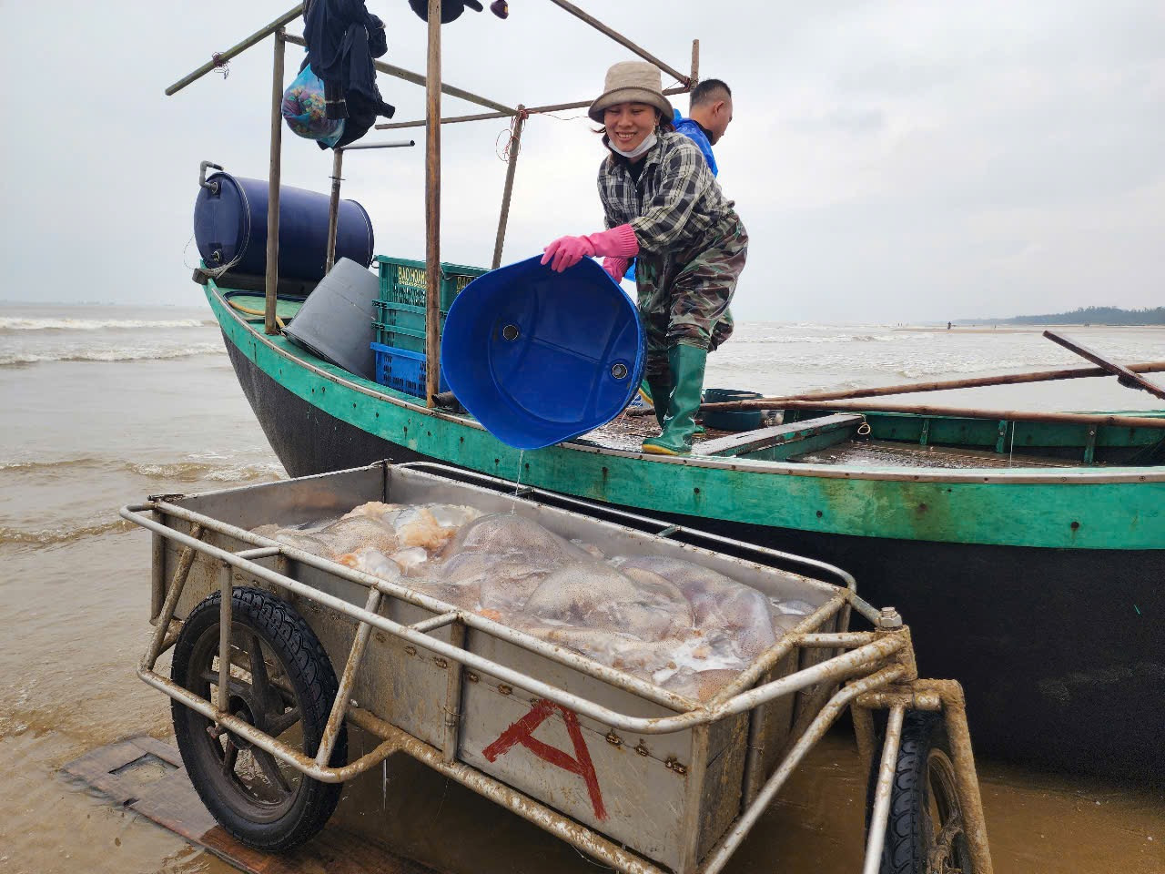 Năm nay, mỗi con sứa tươi được bán với giá 15.000 - 20.000 đồng, trừ chi phí mỗi ngày cũng thu được tiền triệu cho mỗi người.